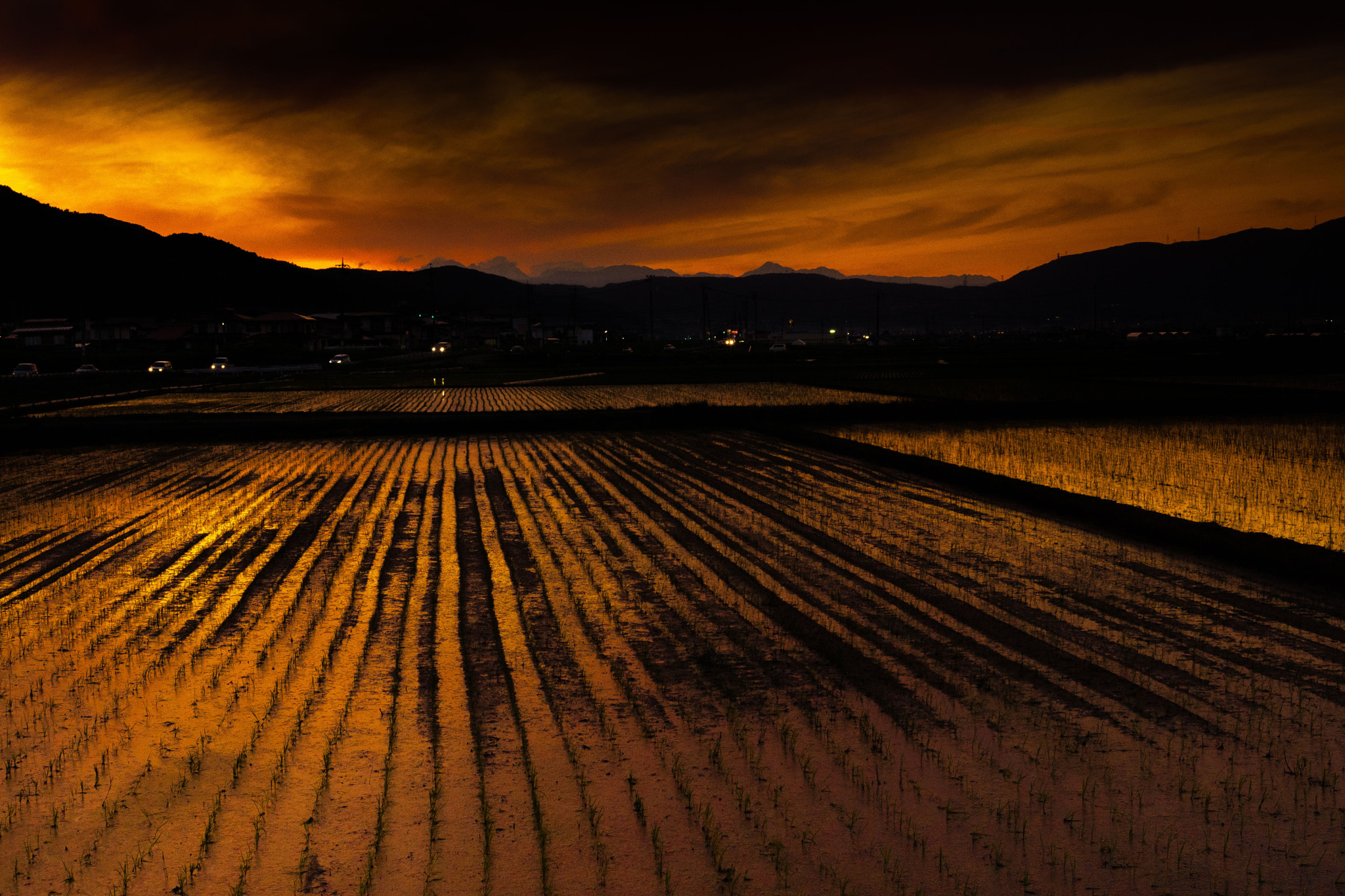 Sony SLT-A65 (SLT-A65V) sample photo. Bje photography