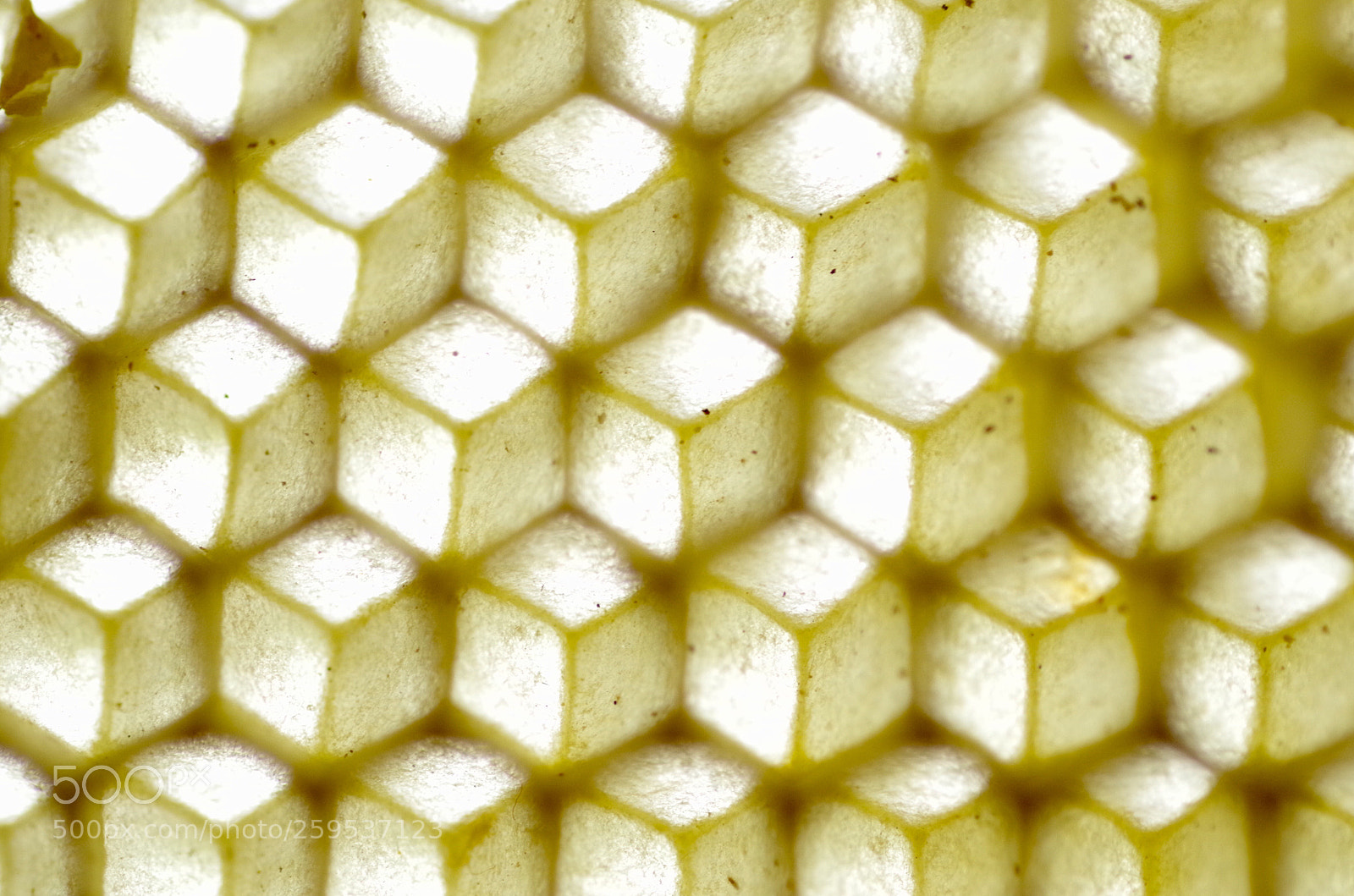 Pentax K-30 sample photo. Honeycomb - optical illusion photography