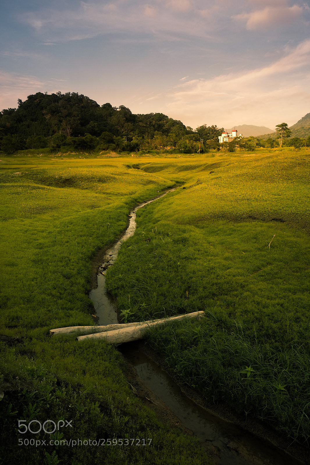 Fujifilm X-T20 sample photo. Grass field photography