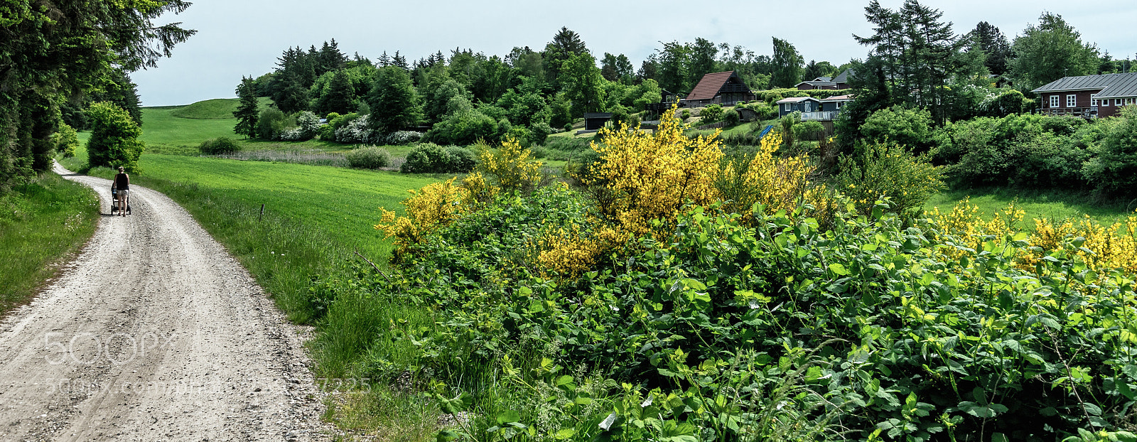 Sony ILCA-77M2 sample photo. Countryside with baby carriage photography