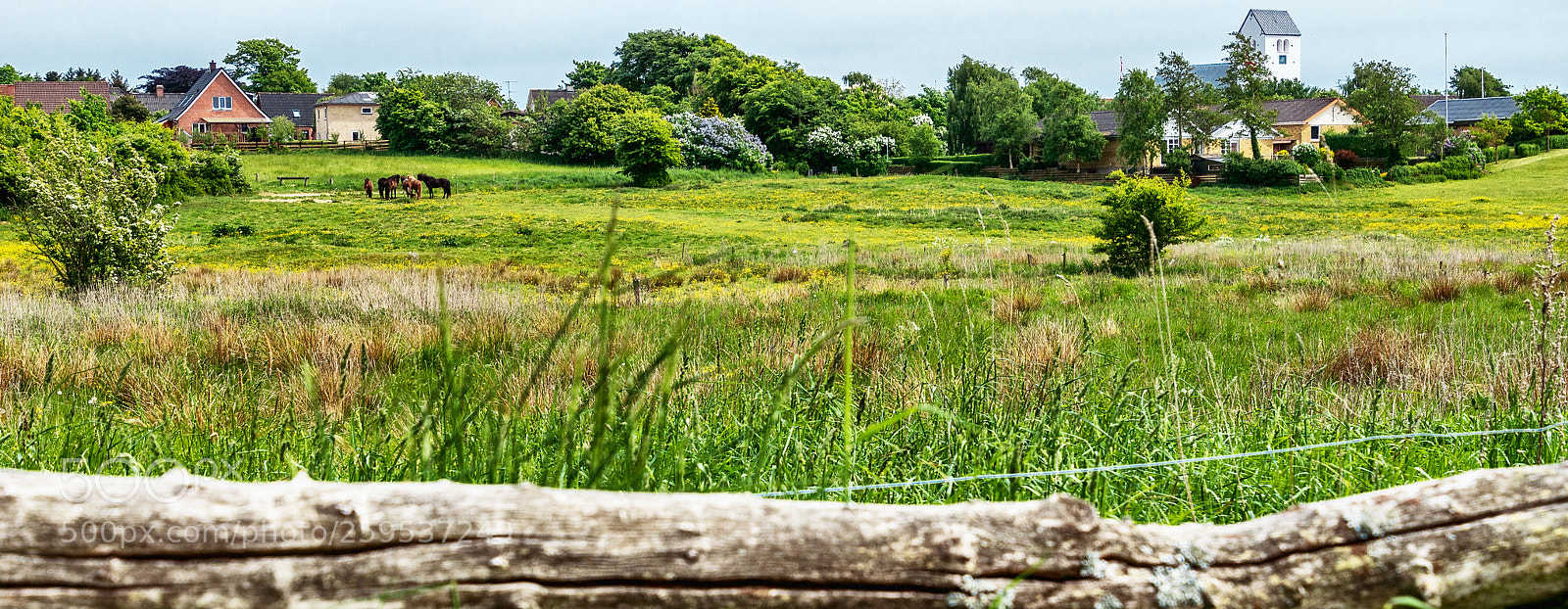 Sony ILCA-77M2 sample photo. Ulbjerg countryside photography
