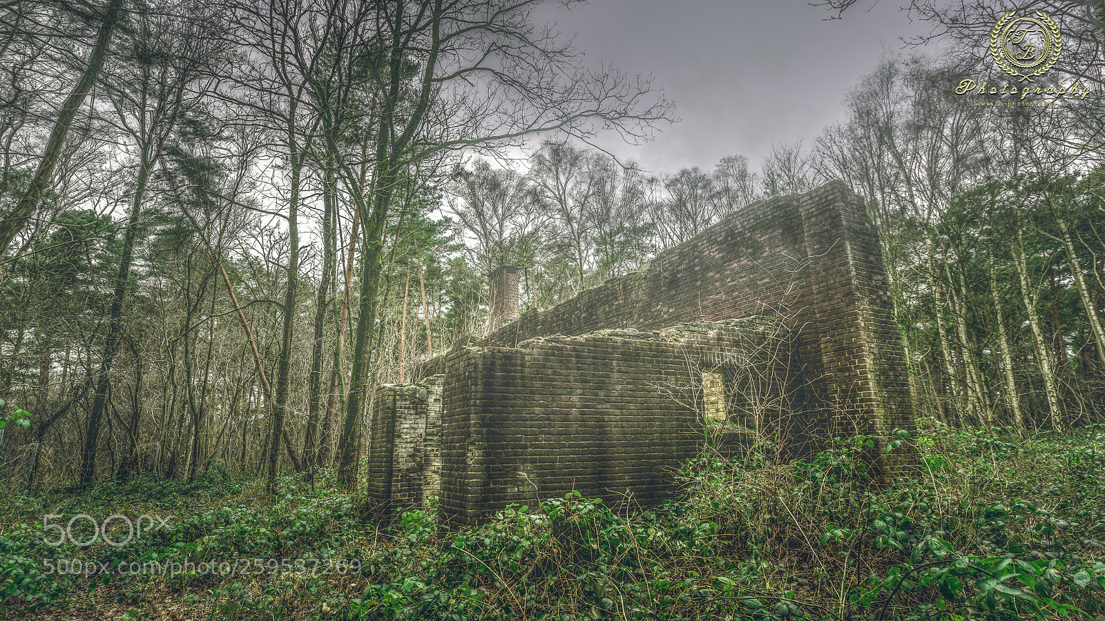 Nikon D800 sample photo. Militärgebiet in nrw photography