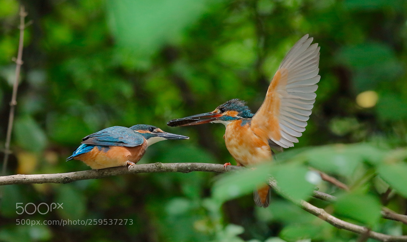 Canon EOS 5DS sample photo. Untitled photography