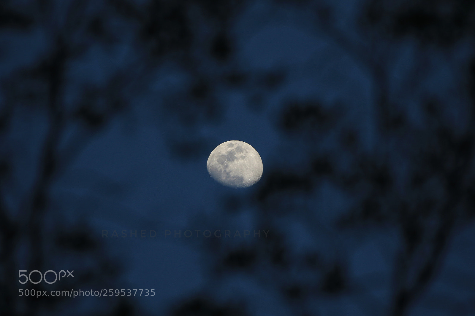 Canon EOS 7D Mark II sample photo. Untitled photography