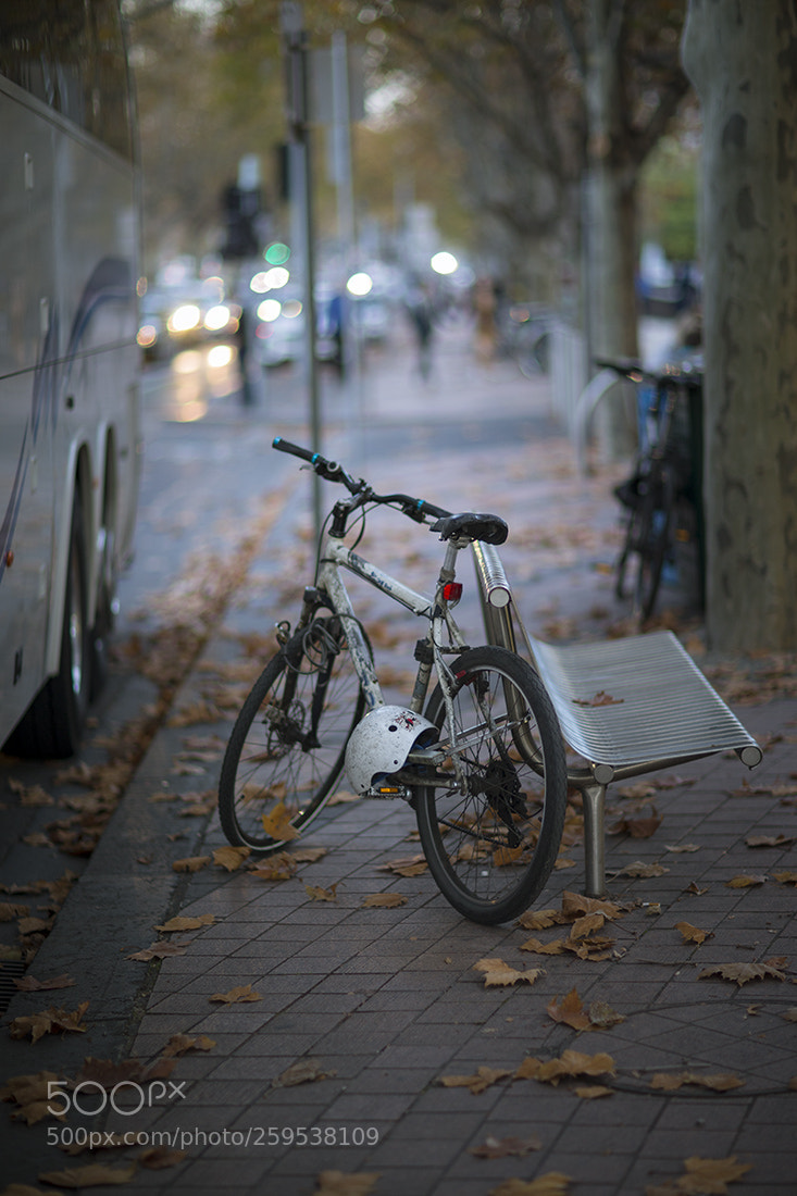 Canon EOS-1D X sample photo. Shooting strangers photography