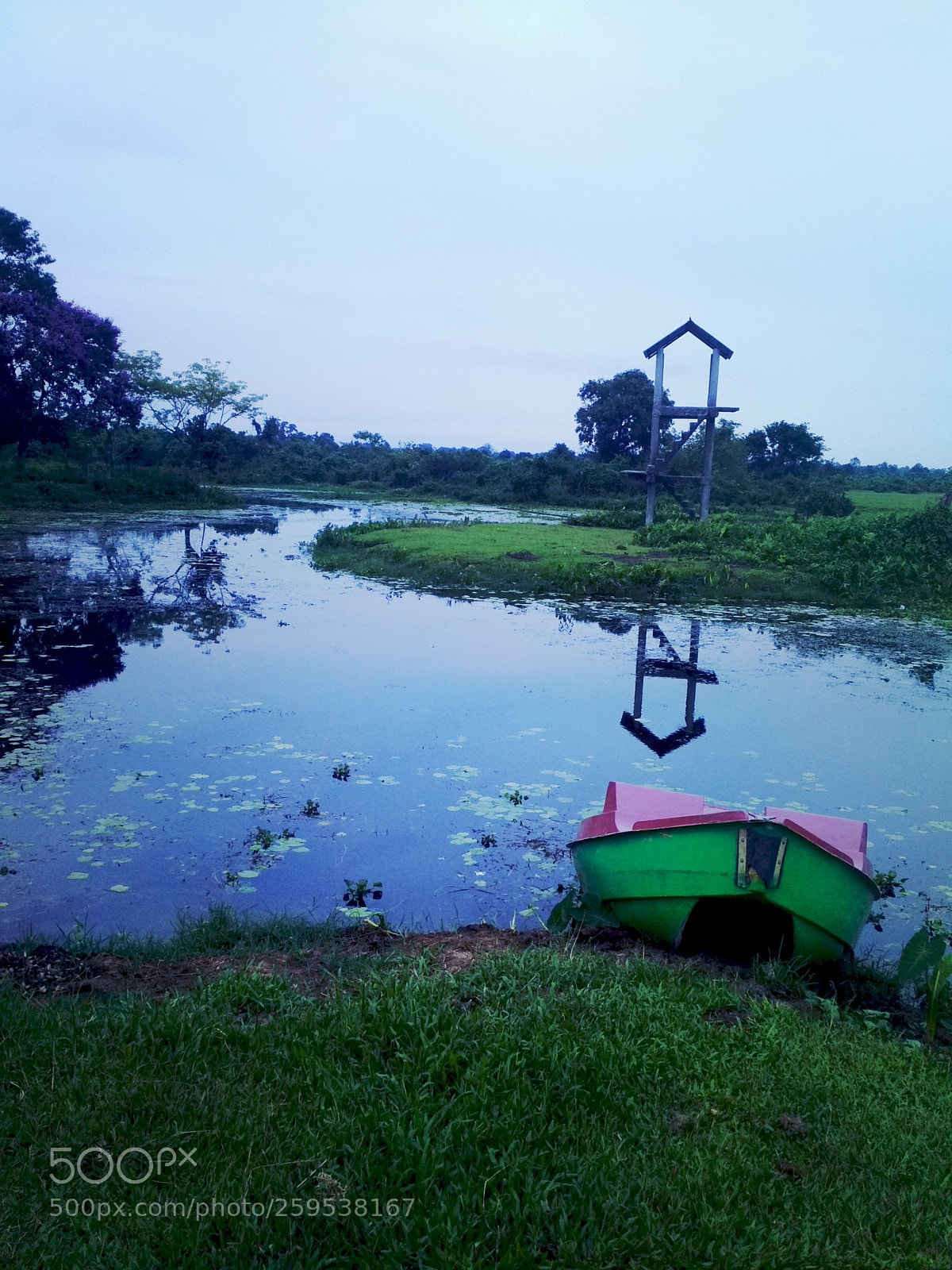 Xiaomi Redmi 4 Pro sample photo. Untitled photography