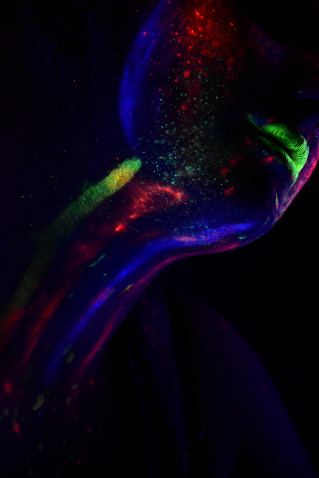 Nikon D5500 sample photo. Fluor photography