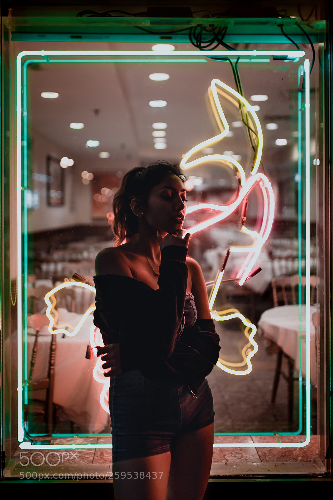 Canon EOS 6D Mark II sample photo. Silhouette  photography