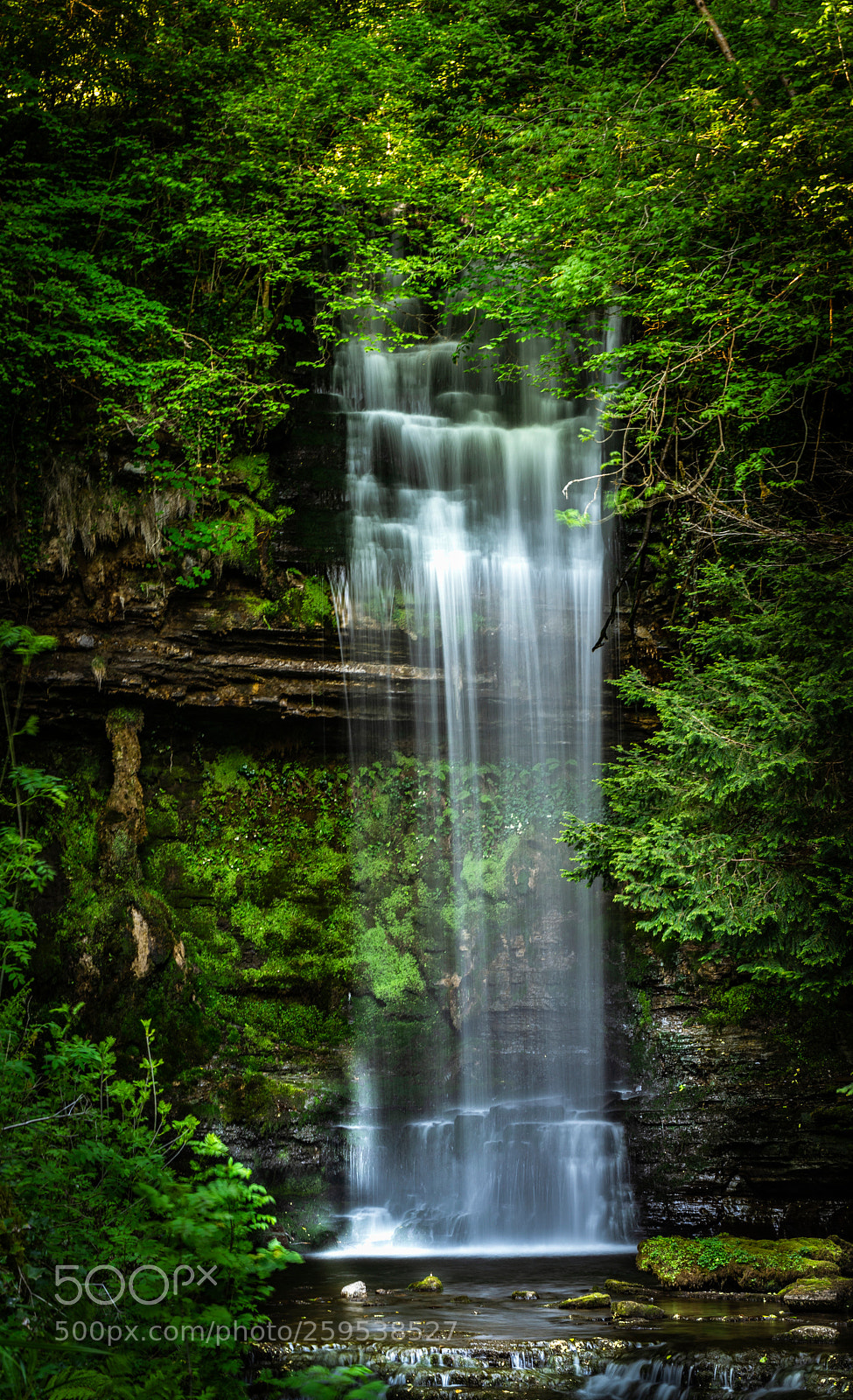 Nikon D810 sample photo. Green falls photography