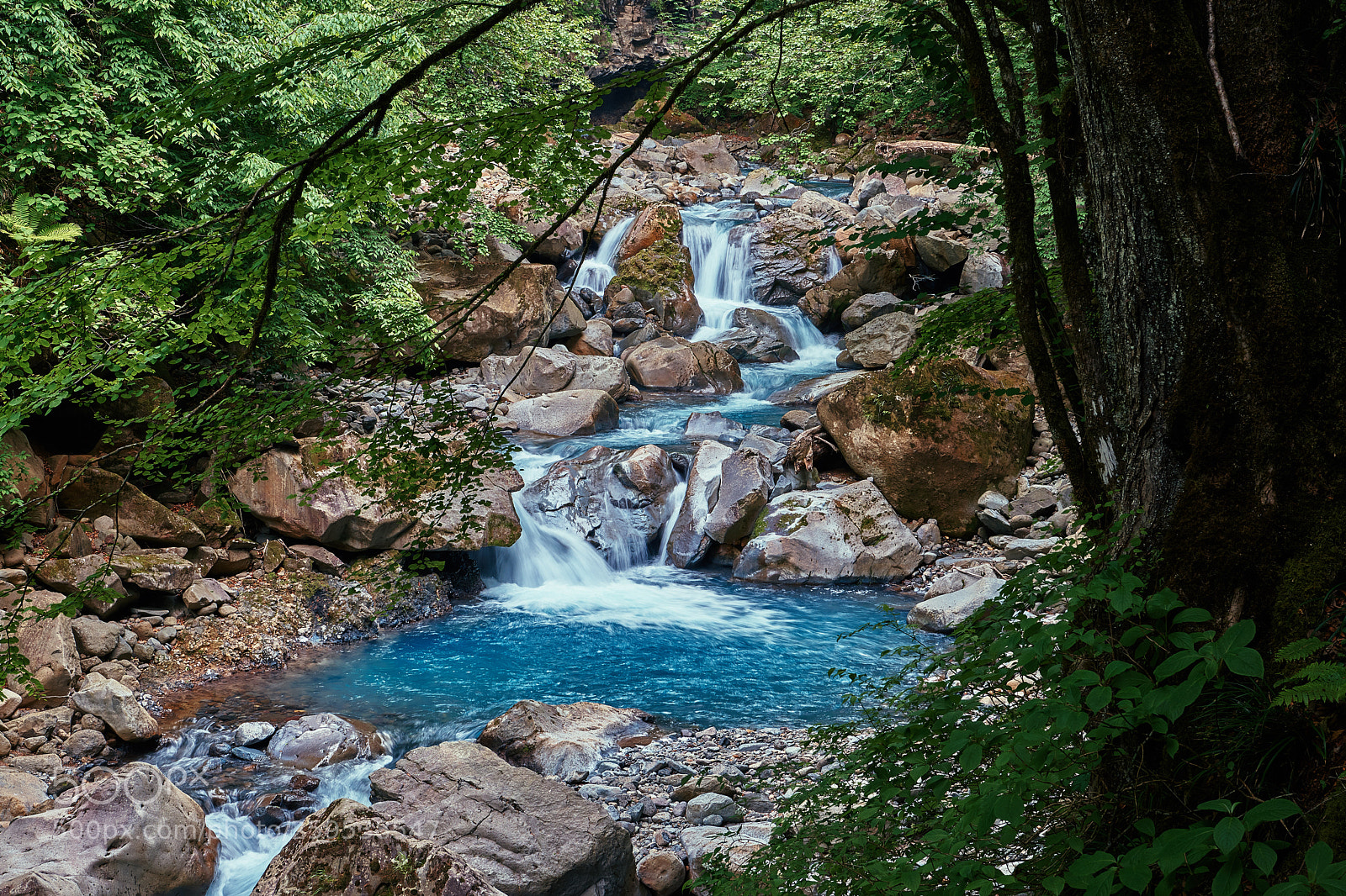 Nikon D850 sample photo. Fresh green stream photography