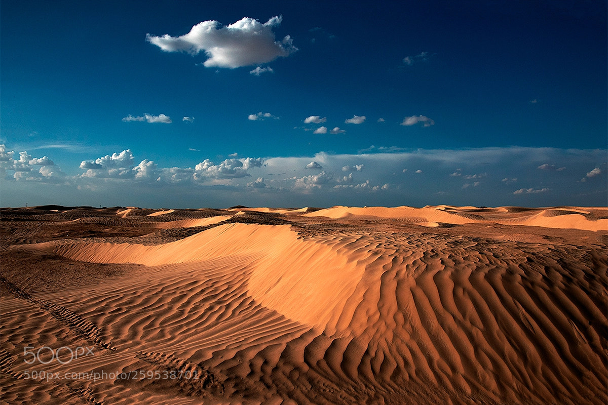 Canon EOS 7D Mark II sample photo. Sahara as is photography