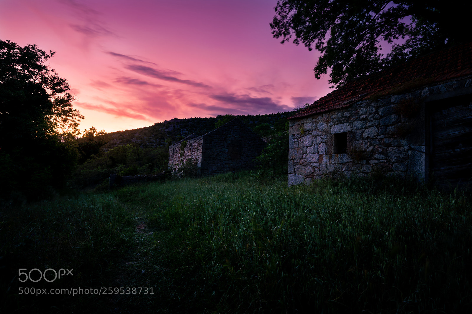 Sony a7 II sample photo. Way to the sunset photography
