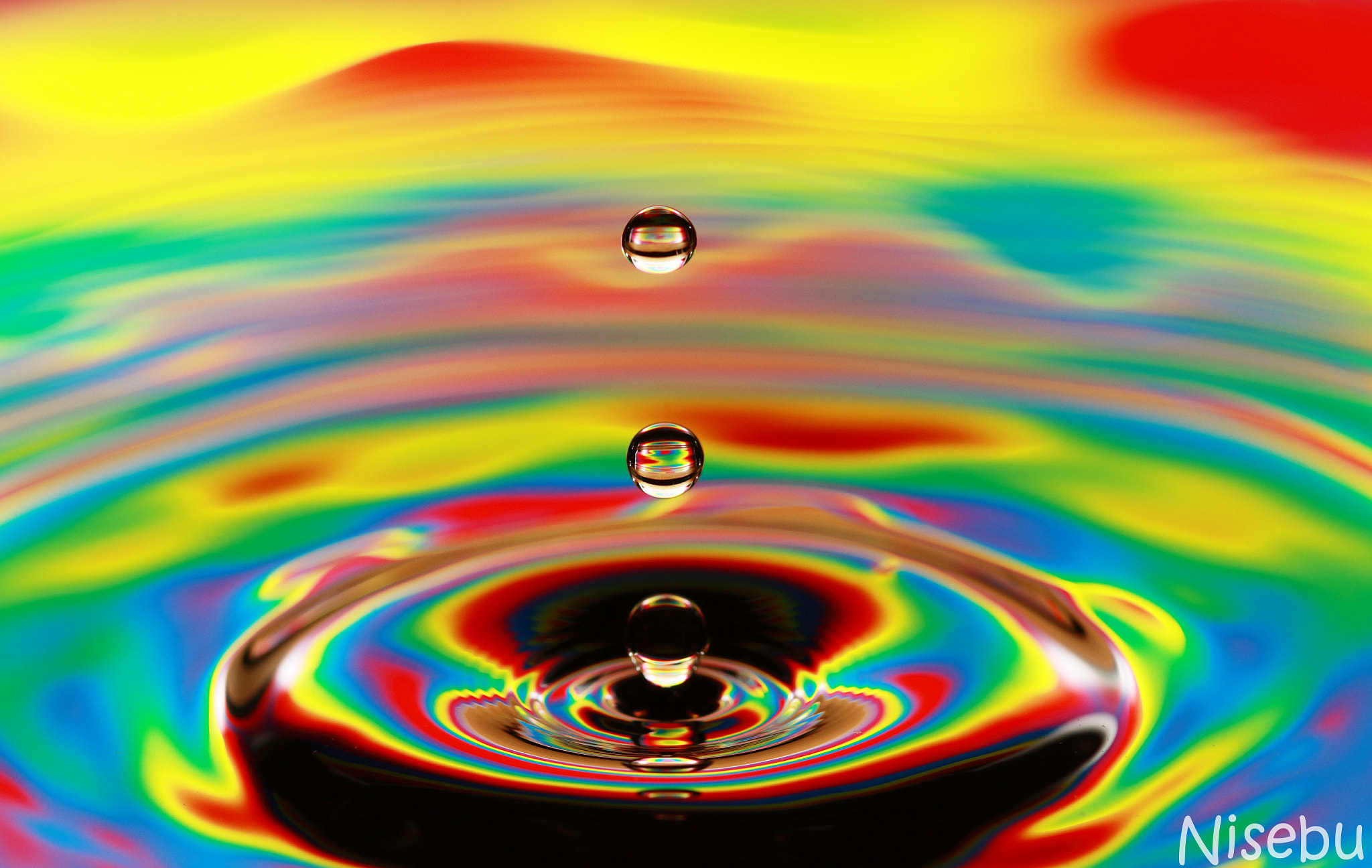 Canon EF 100mm F2.8L Macro IS USM sample photo. Water drops photography