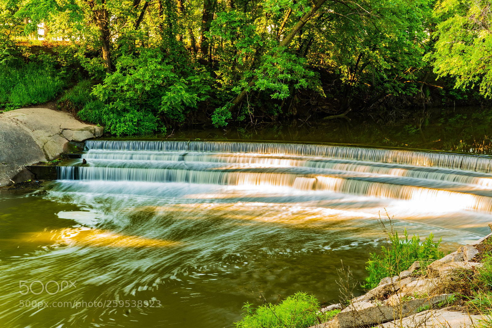 Sony ILCA-77M2 sample photo. Over flow photography