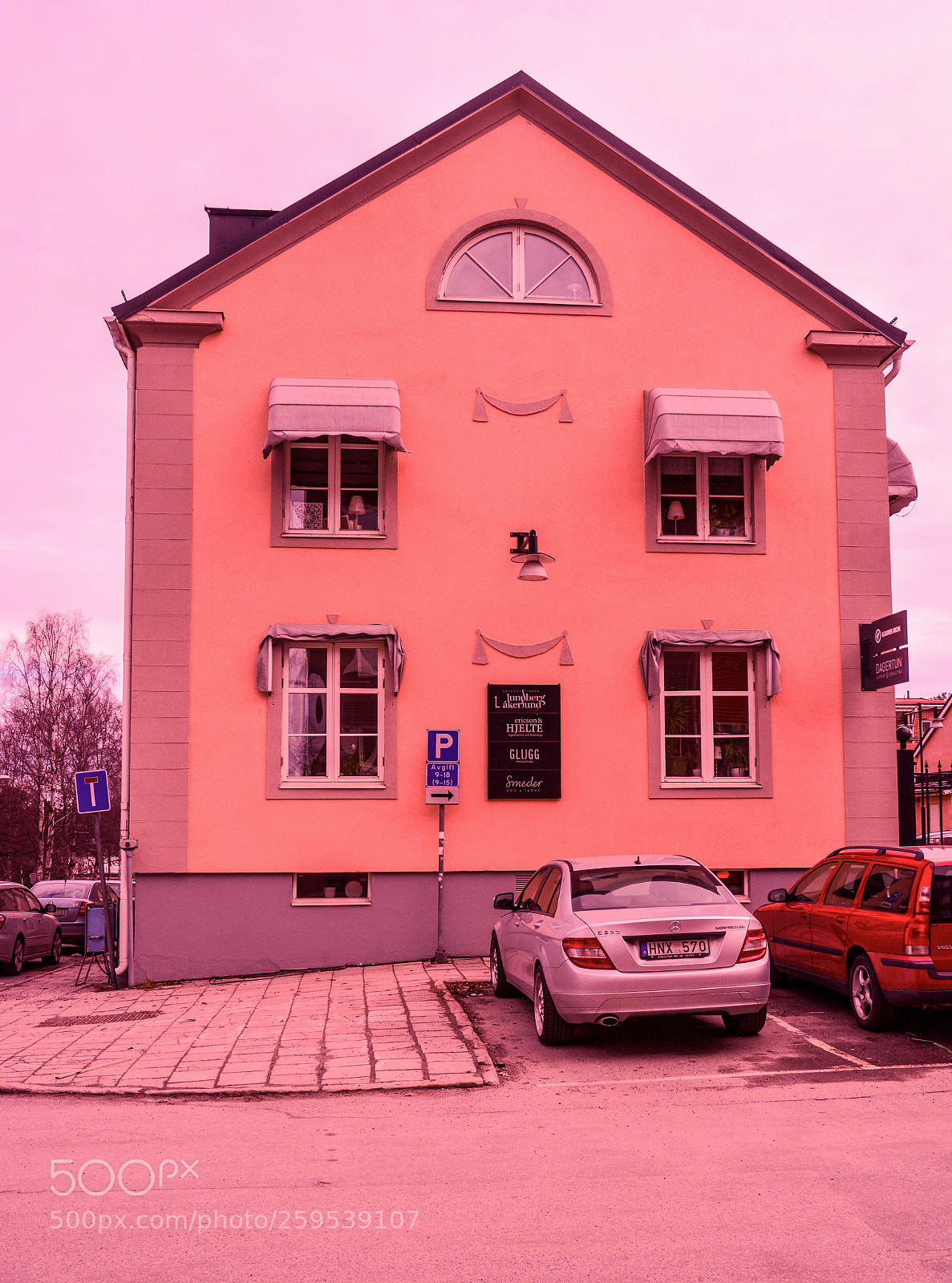 Nikon D7100 sample photo. The pink house at photography