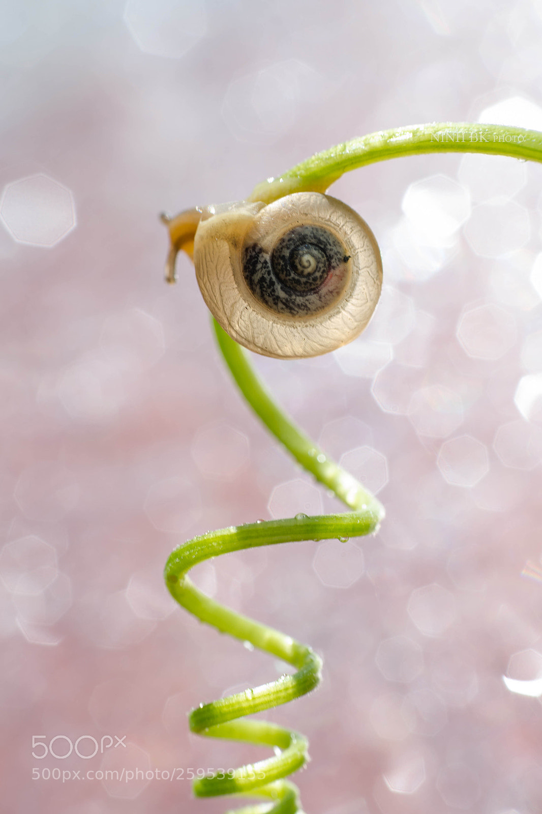 Nikon D7000 sample photo. Spiral photography