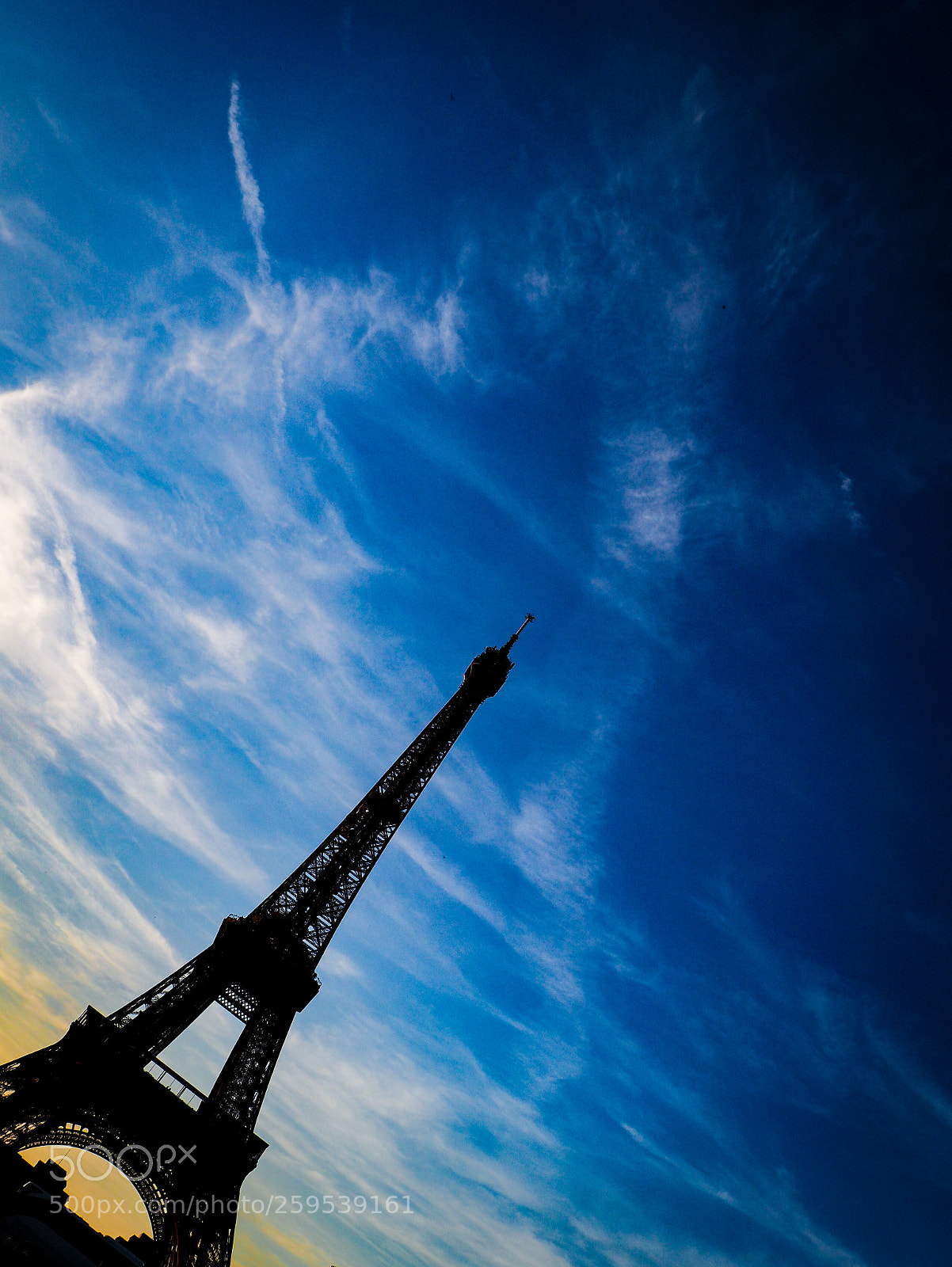Olympus OM-D E-M10 II sample photo. Drawing the sky photography
