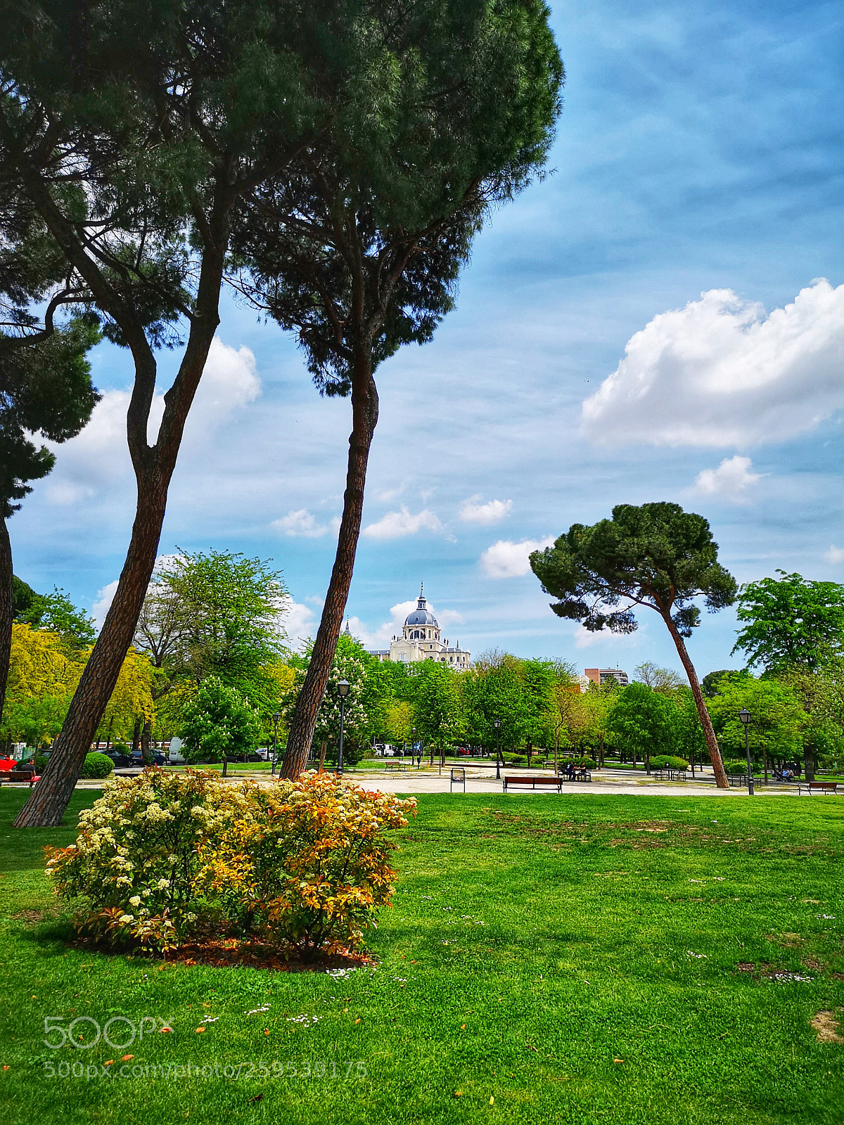 HUAWEI CLT-L29 sample photo. Madrid photography
