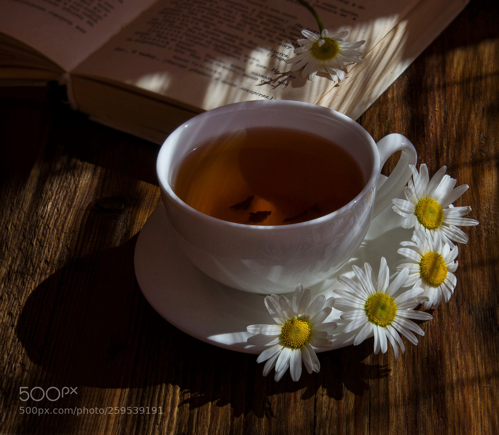 Nikon D7000 sample photo. Sunny day. Солнечный день. photography