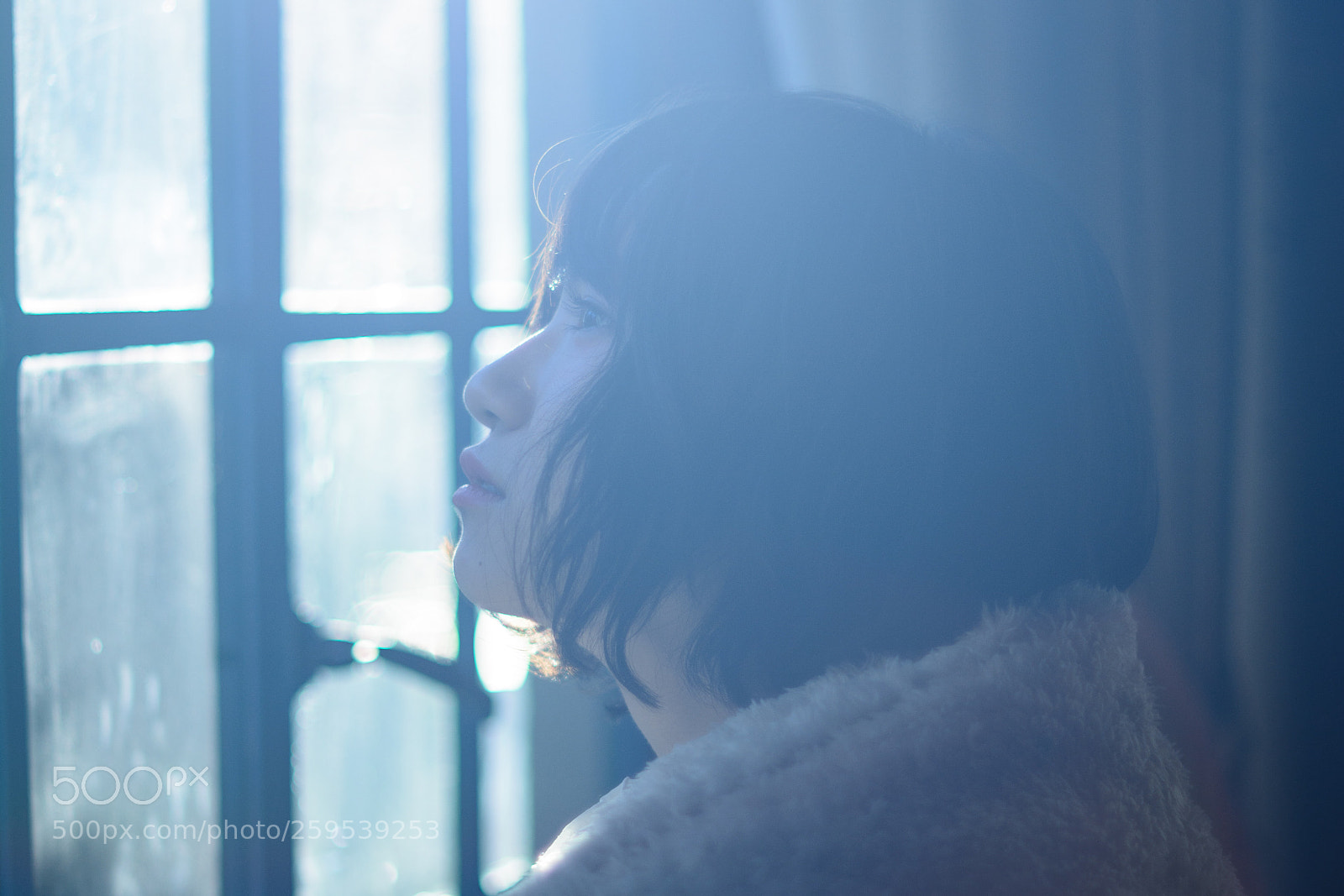 Nikon D7100 sample photo. Untitled photography