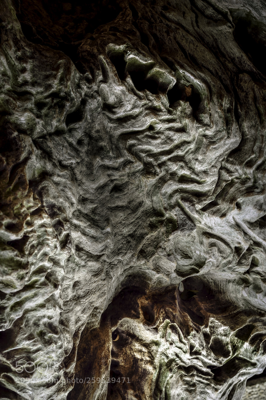 Nikon D7200 sample photo. Abstraction photography