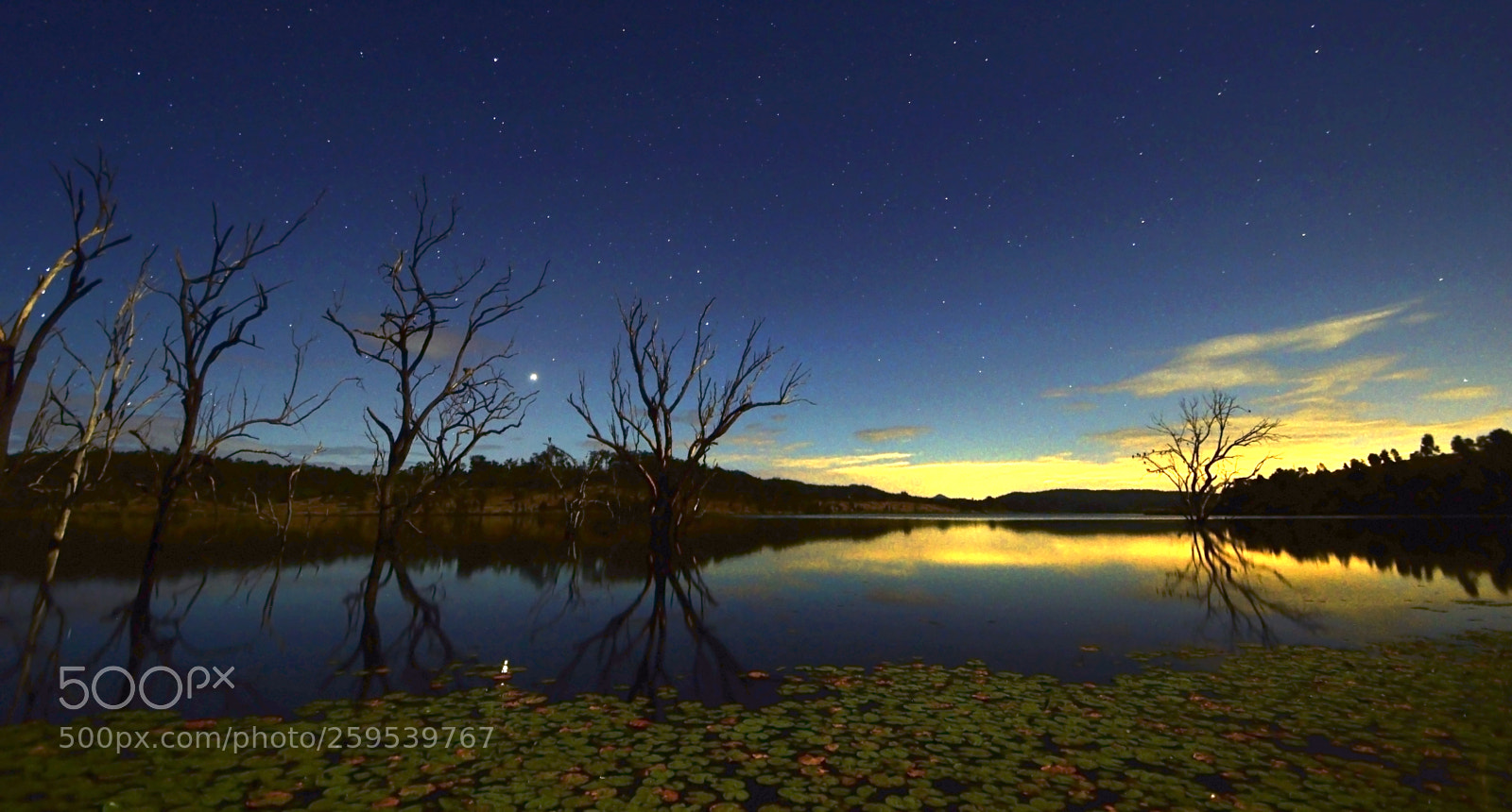 Nikon D3200 sample photo. Wyaralong dam photography