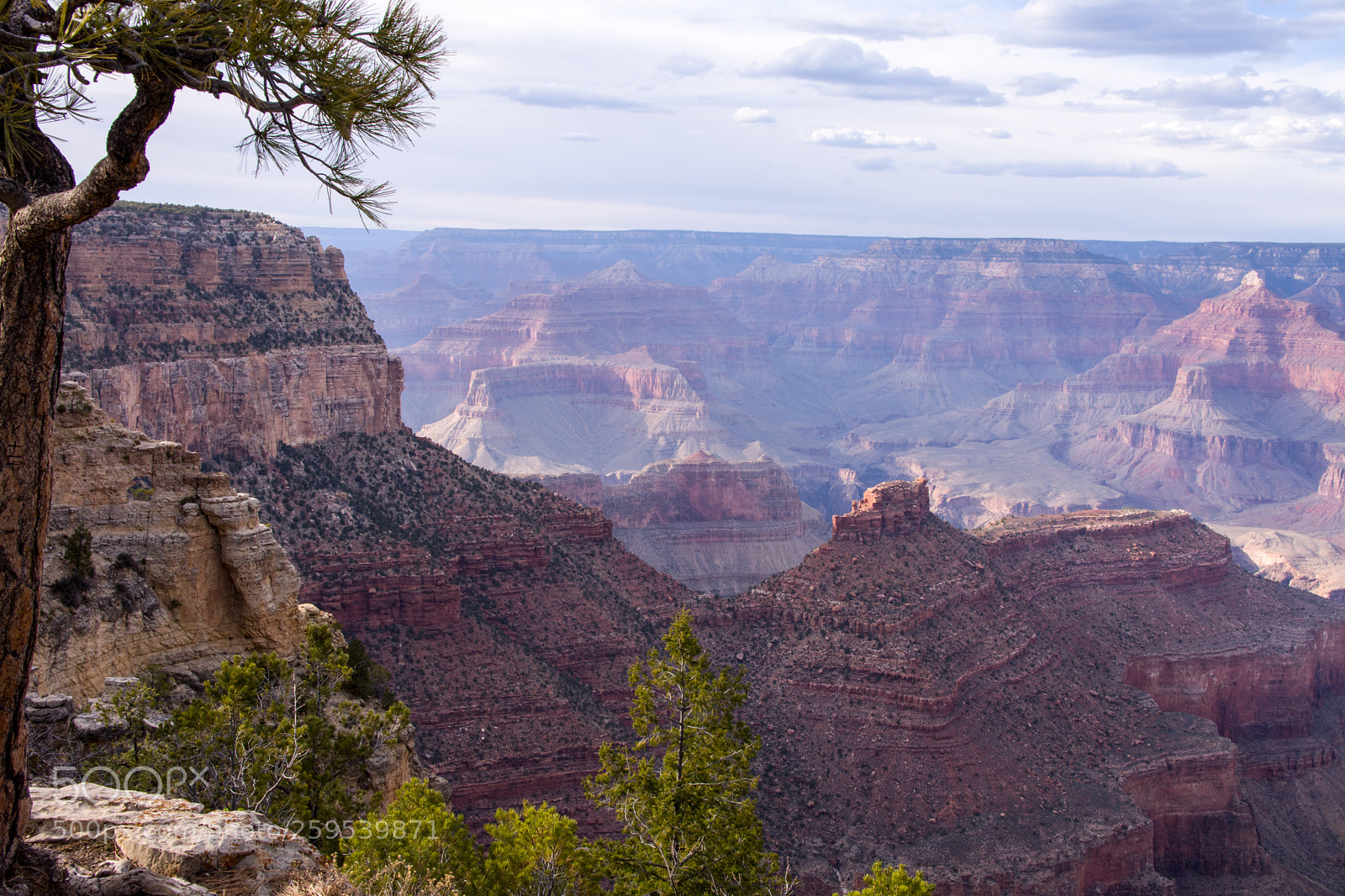 Nikon D7200 sample photo. Grand canyon photography