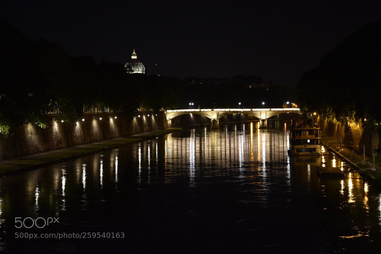 Nikon D5600 sample photo. Reflections on tevere river photography