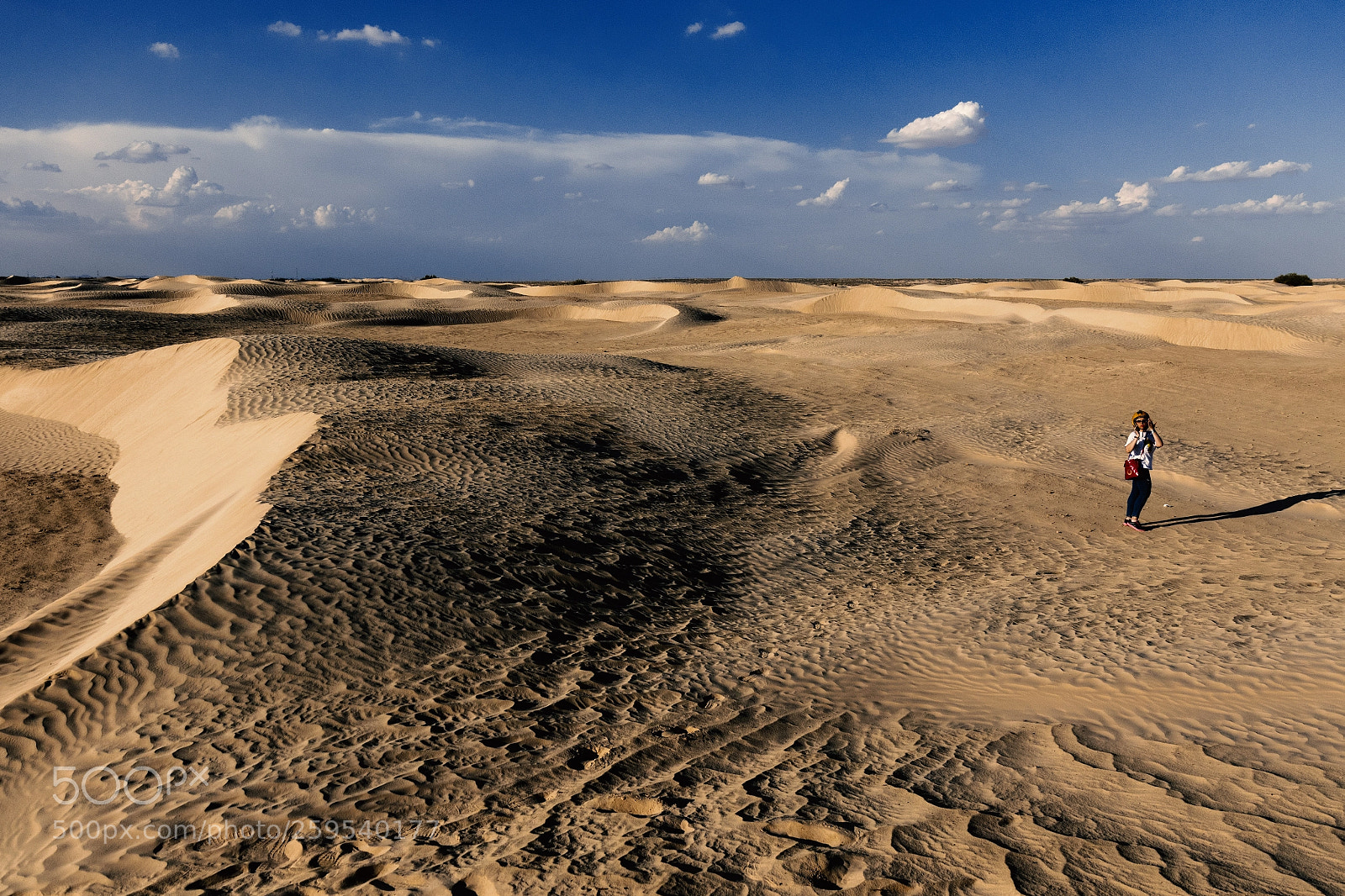 Canon EOS 7D Mark II sample photo. Lost in the desert photography