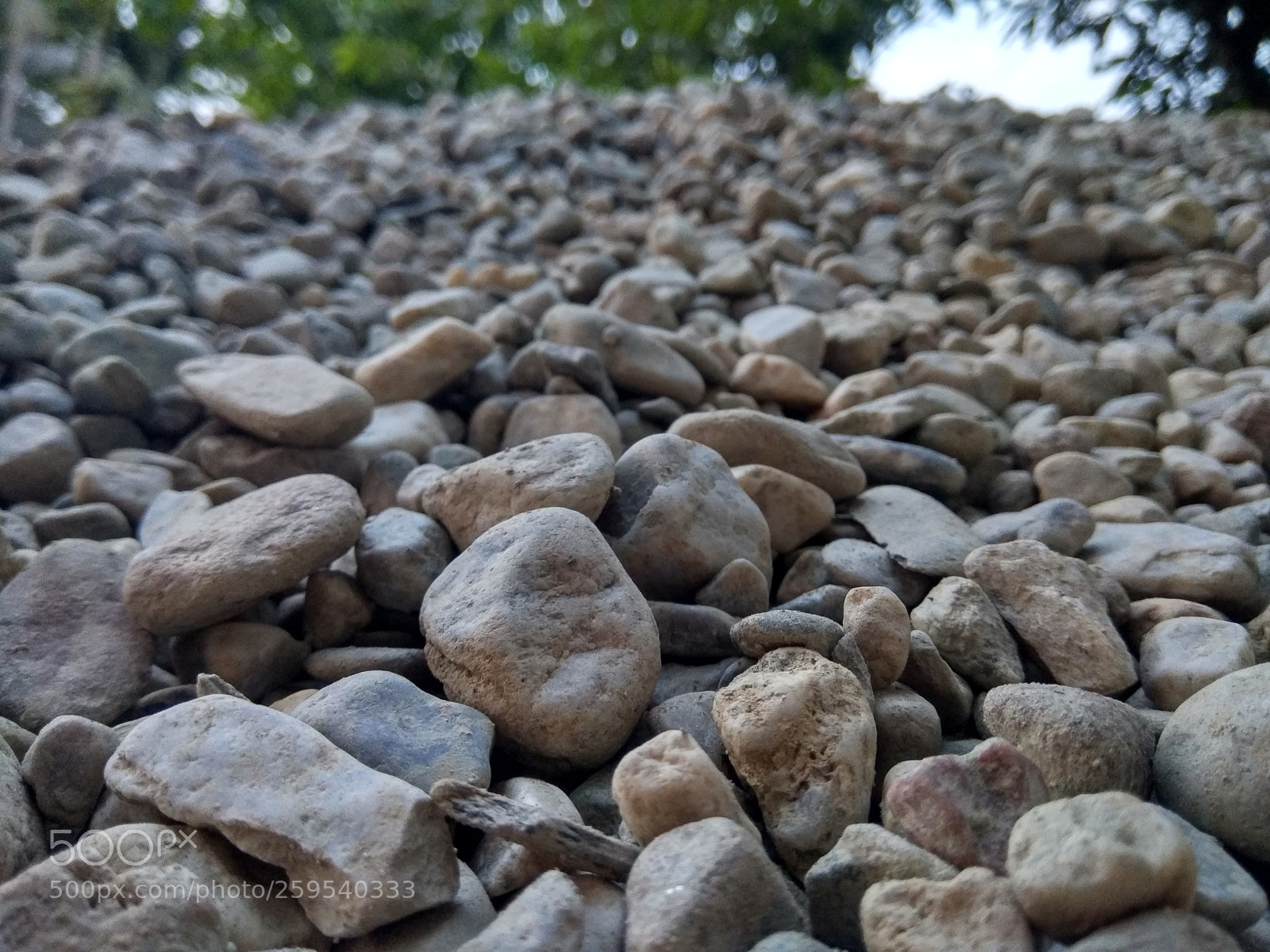 Xiaomi Redmi Note 4 sample photo. Untitled photography