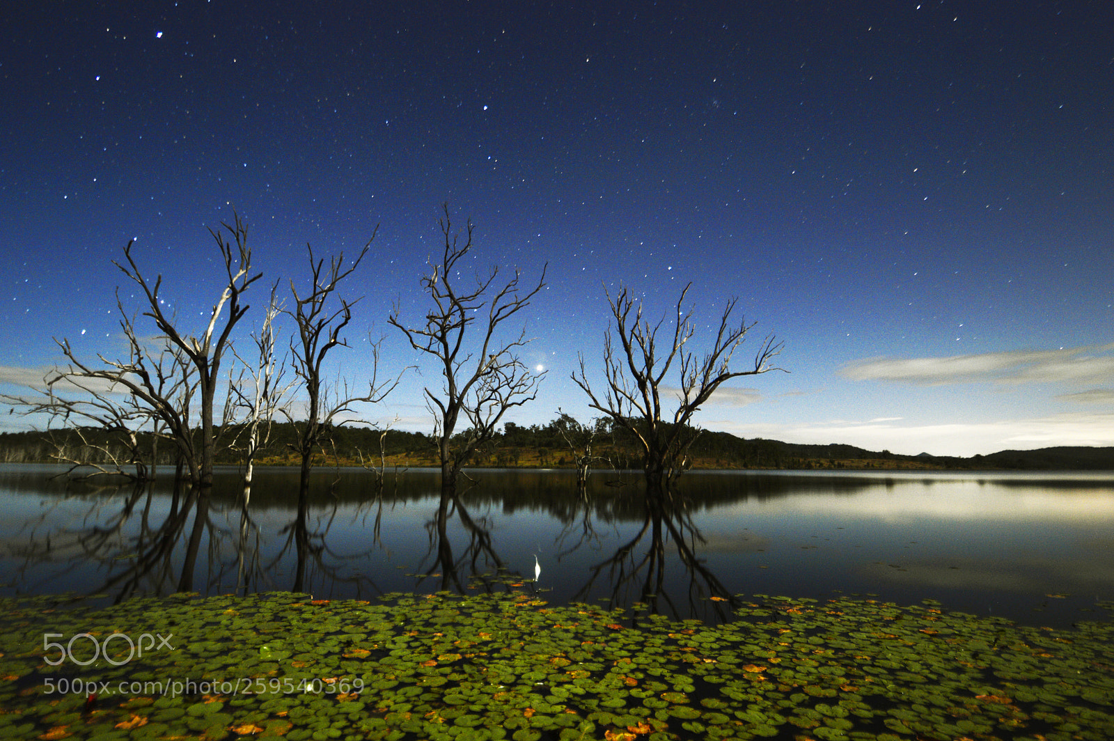 Nikon D3200 sample photo. Moonlit dam photography
