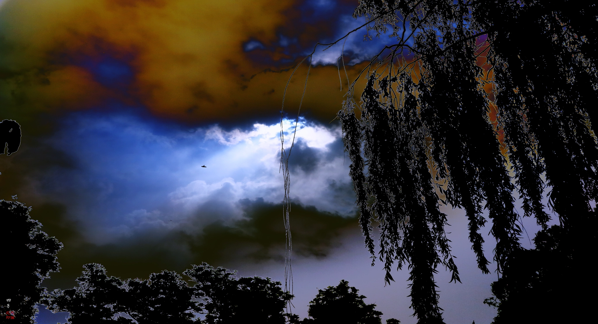 Canon PowerShot G1 X Mark II sample photo. Sky and bird and clouds photography