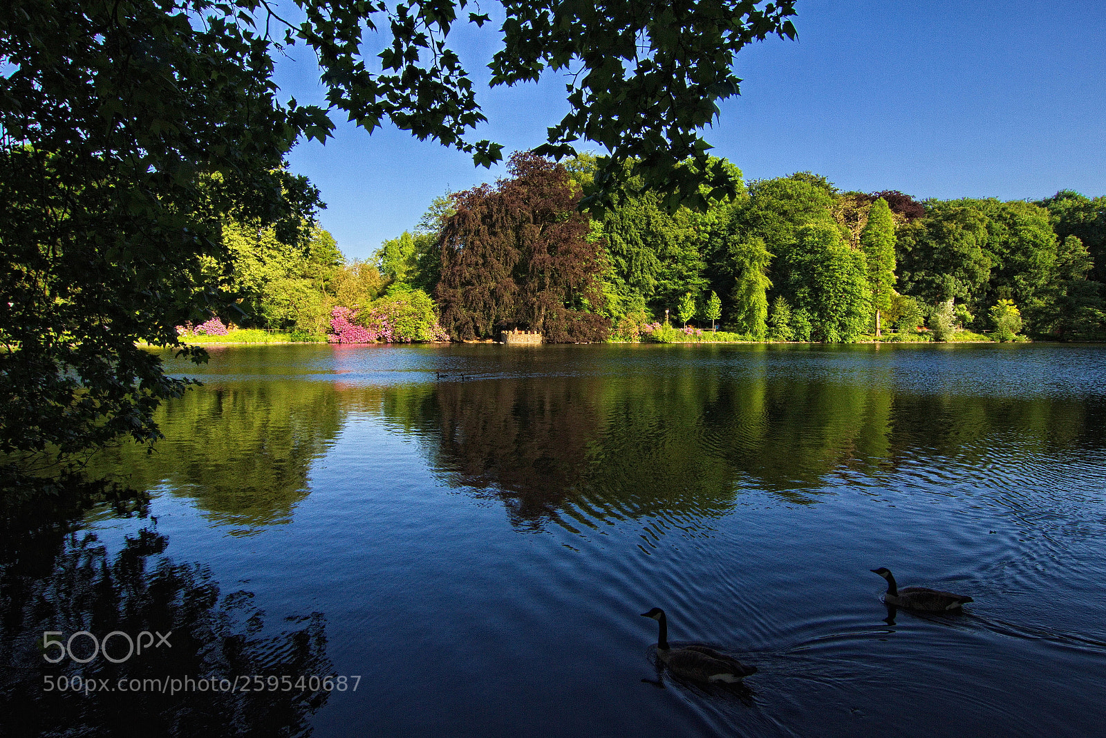 Canon EOS 7D sample photo. At the lake photography