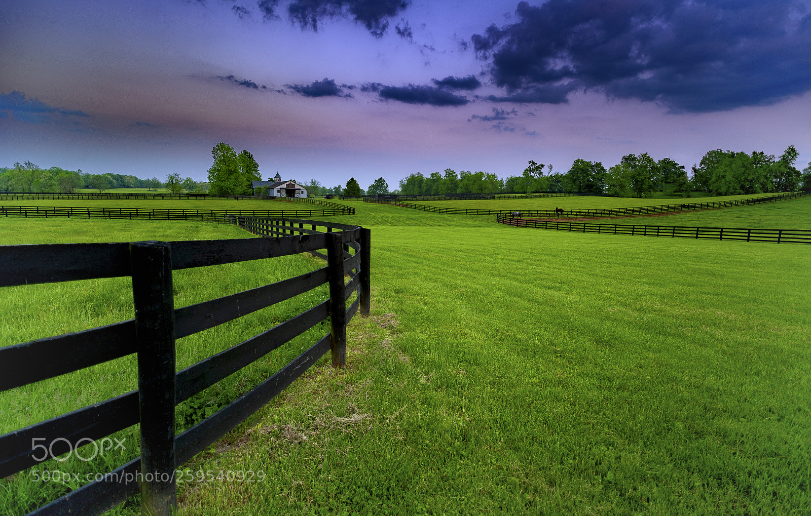 Nikon D700 sample photo. Ky horse farm photography
