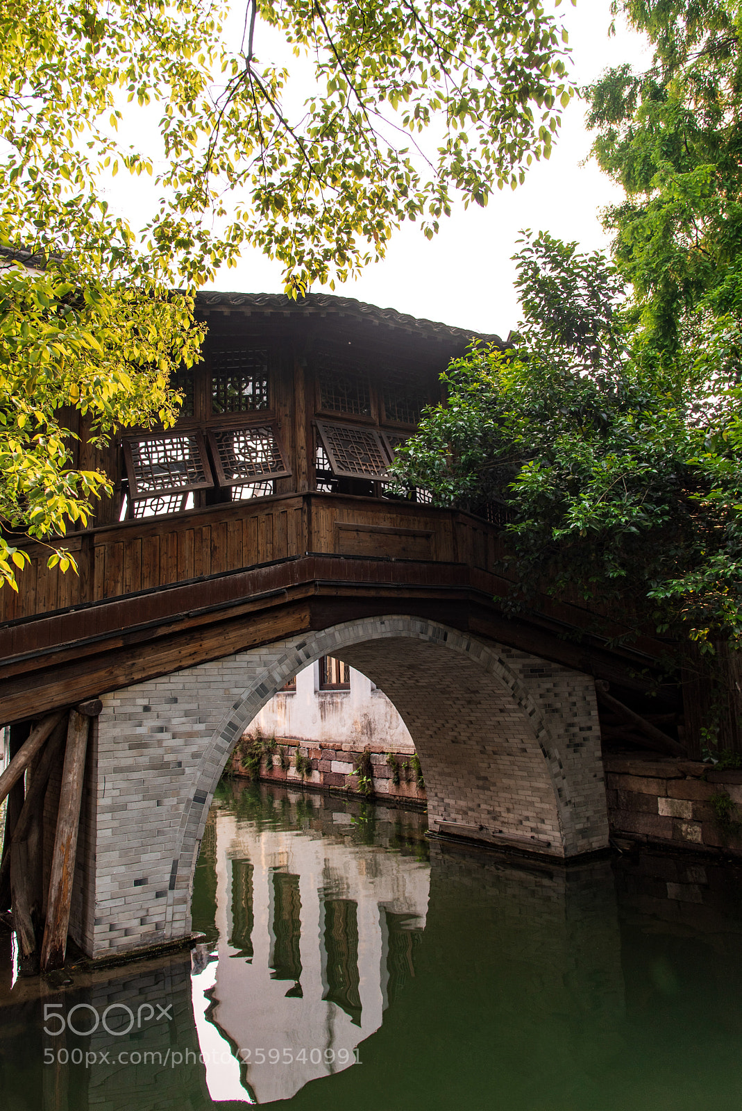 Nikon D750 sample photo. Untitled photography