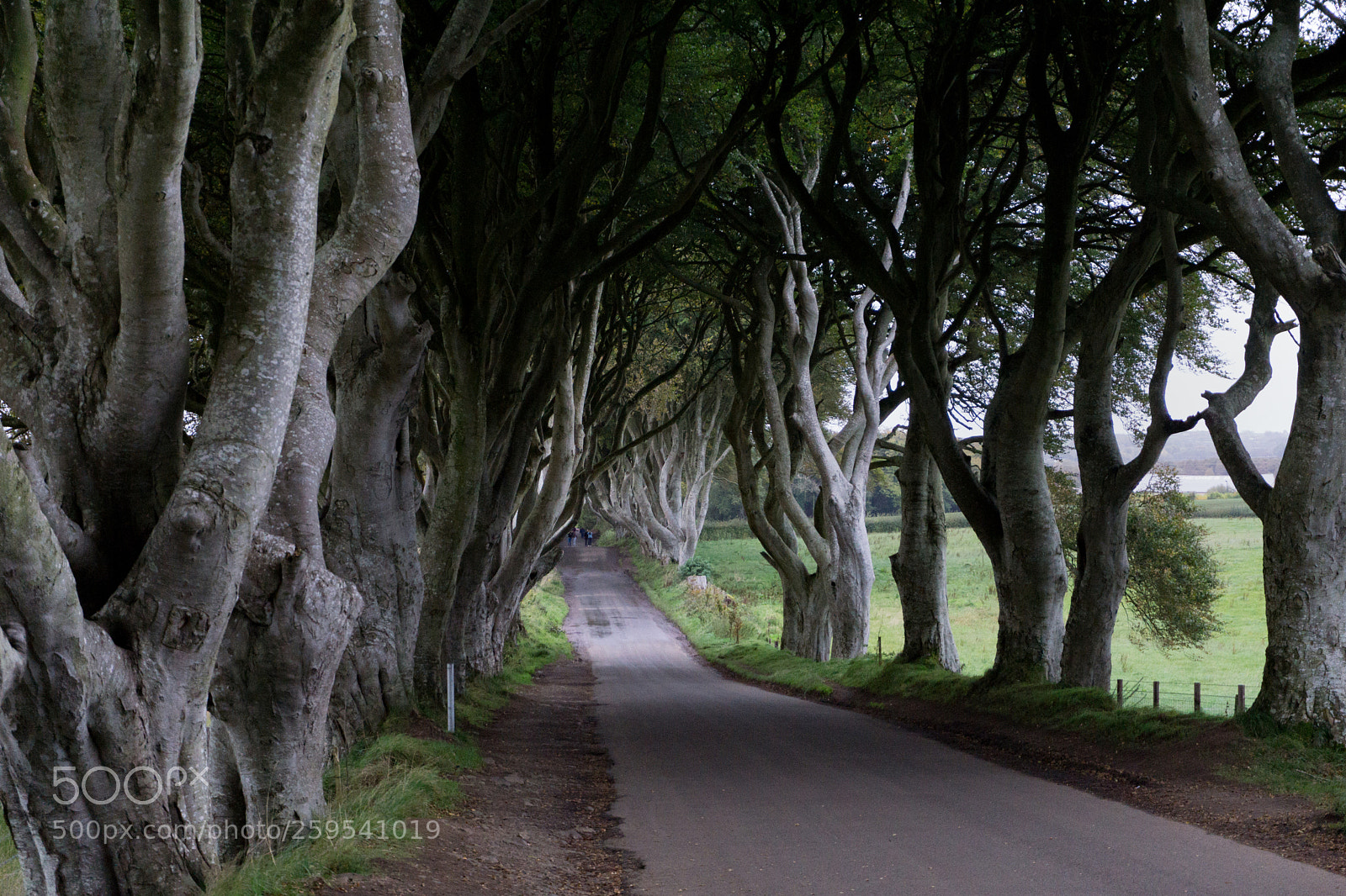 Sony a6000 sample photo. View of the dark photography