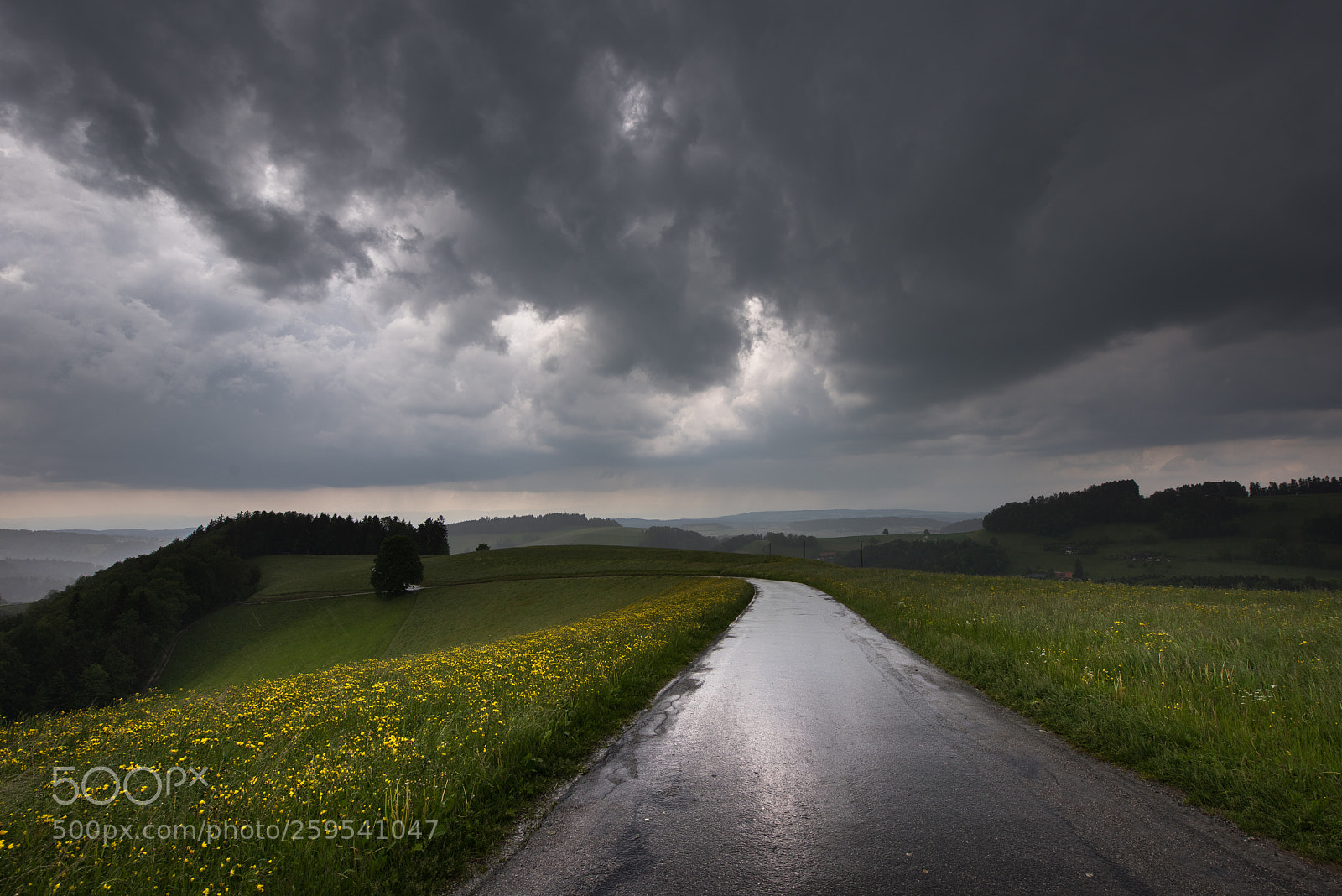 Nikon D810 sample photo. Rainy day i photography