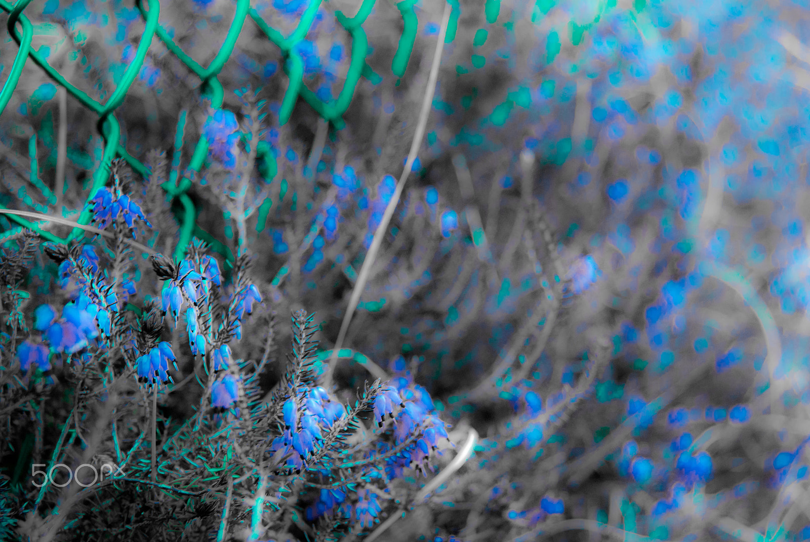 Sony Alpha DSLR-A330 sample photo. Old photo remake pt4 photography