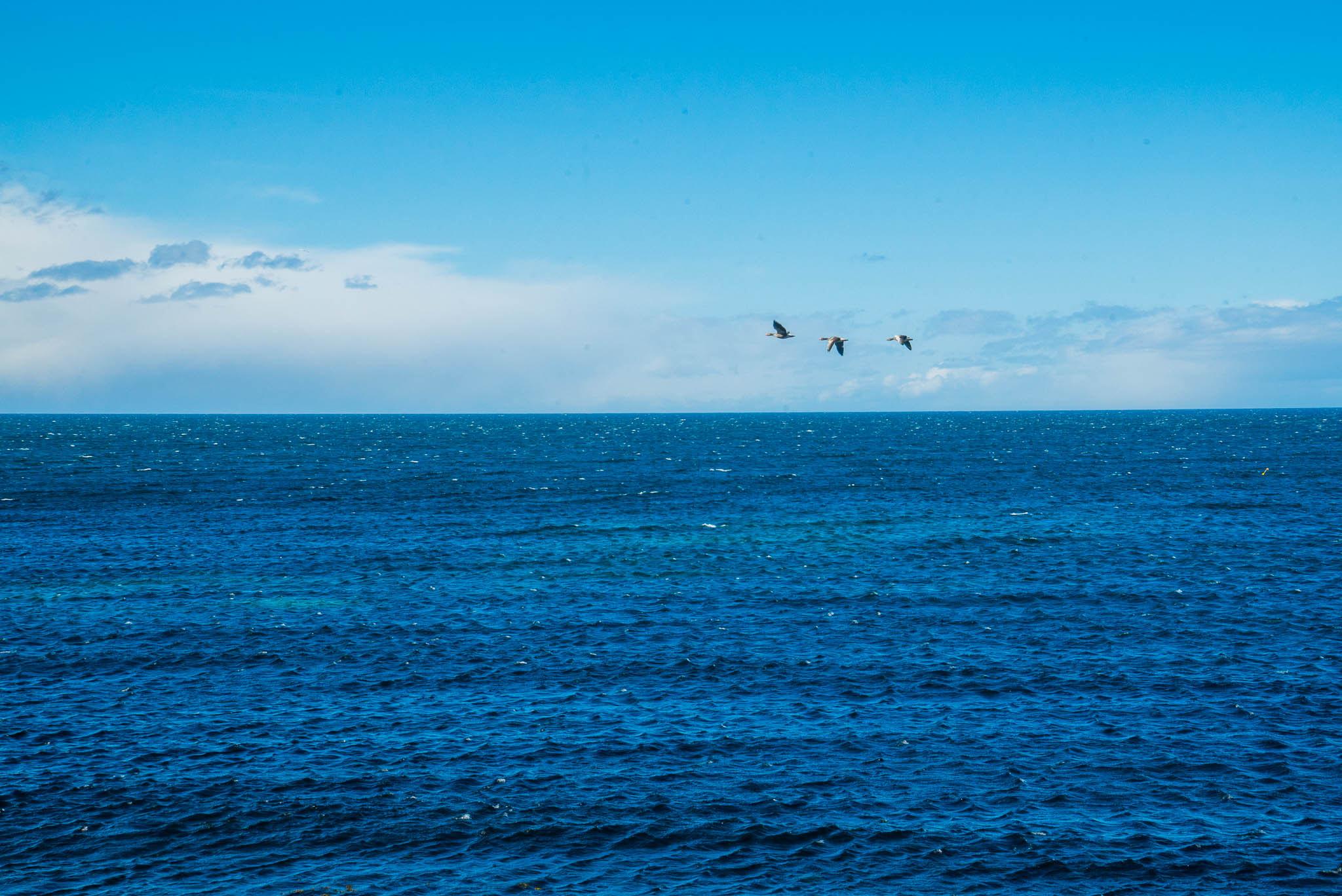 Sony a7S sample photo. Arctic ocean photography