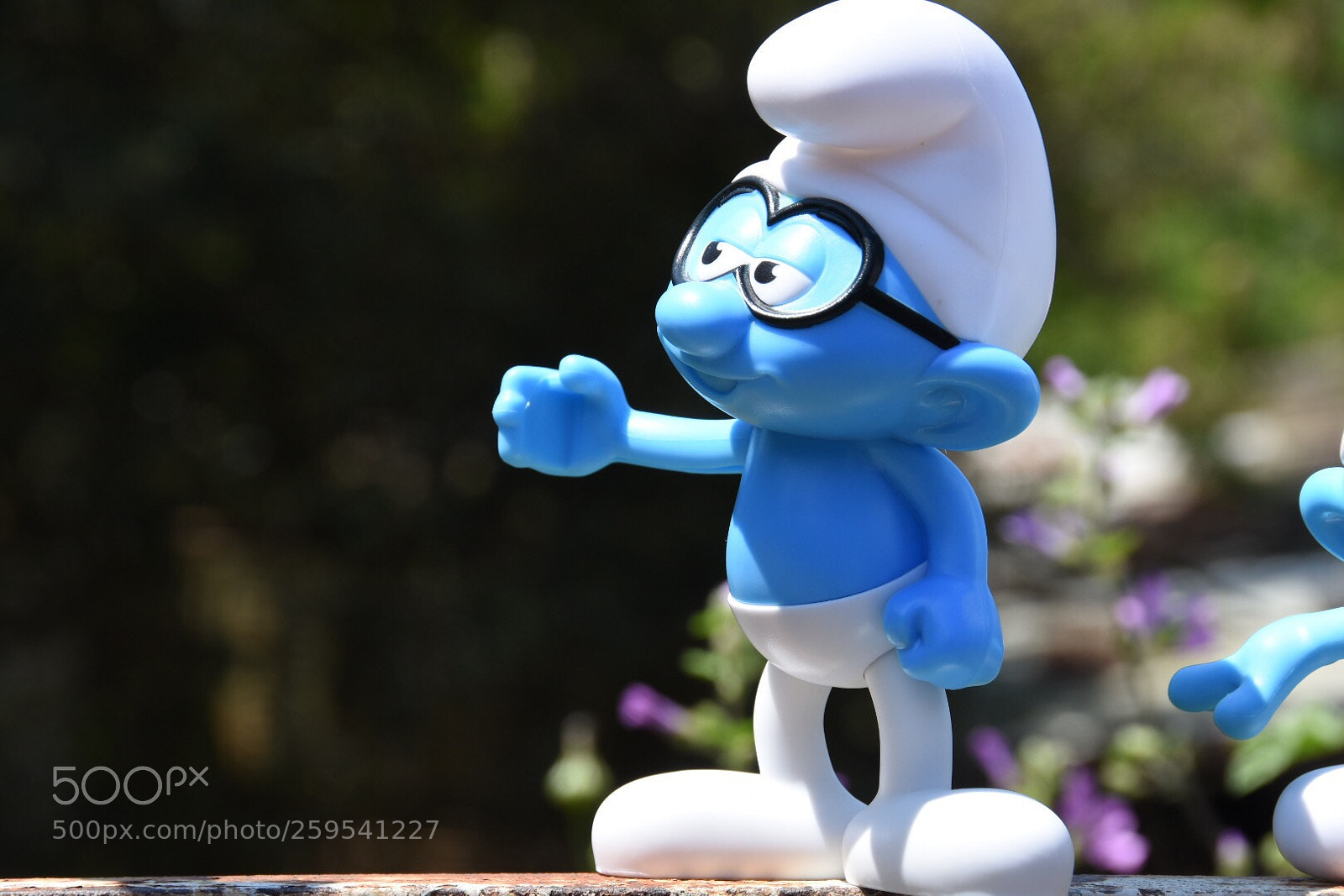 Nikon D7200 sample photo. Untitled photography
