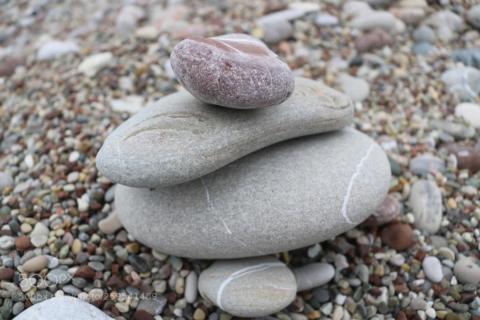 Canon EOS 750D (EOS Rebel T6i / EOS Kiss X8i) sample photo. Untitled photography