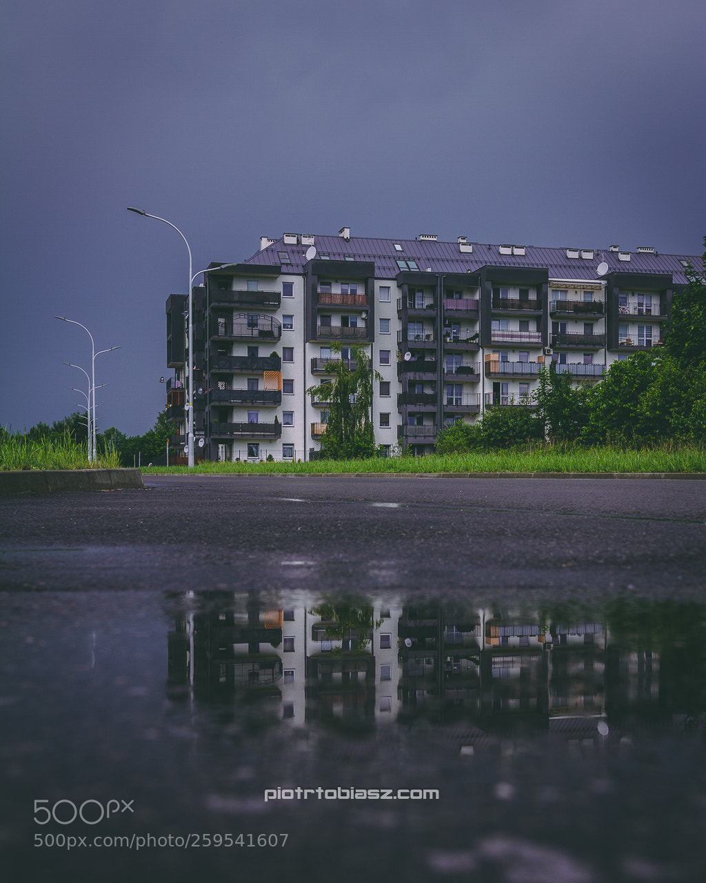 Canon EOS 7D sample photo. After rain photography