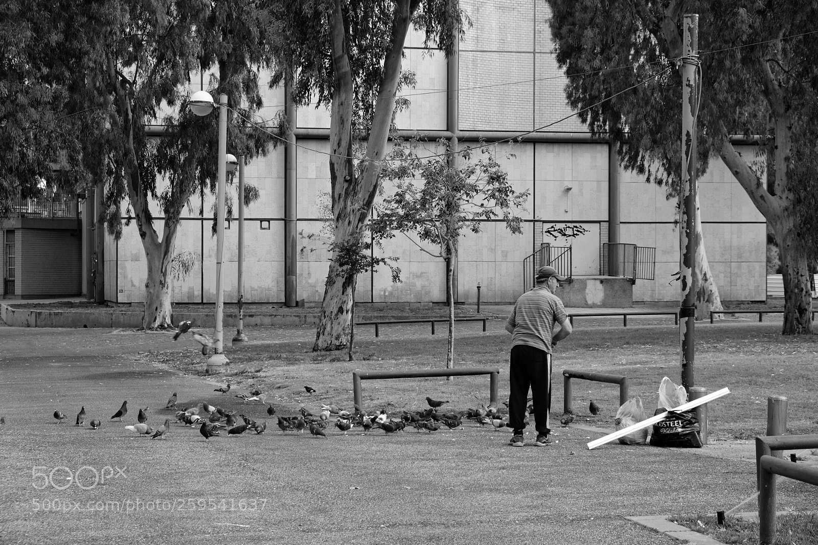 Fujifilm X-E3 sample photo. Pigeon person photography