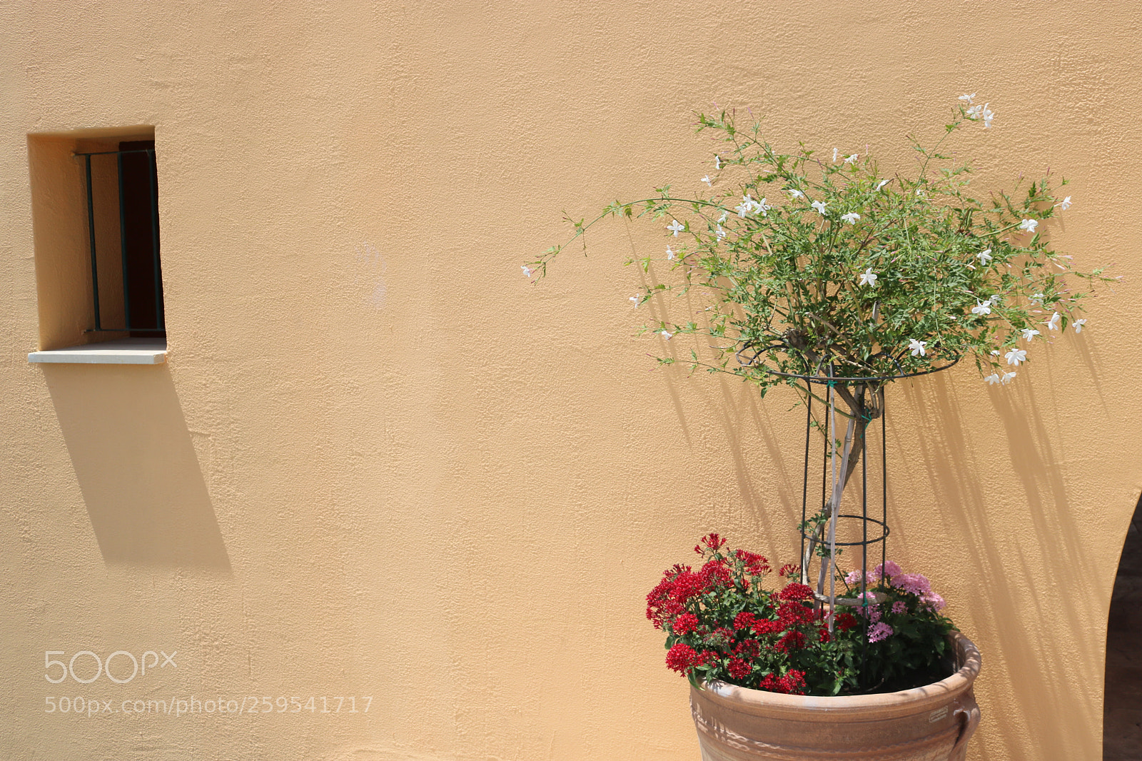 Canon EOS 750D (EOS Rebel T6i / EOS Kiss X8i) sample photo. Typical and truly greek! photography