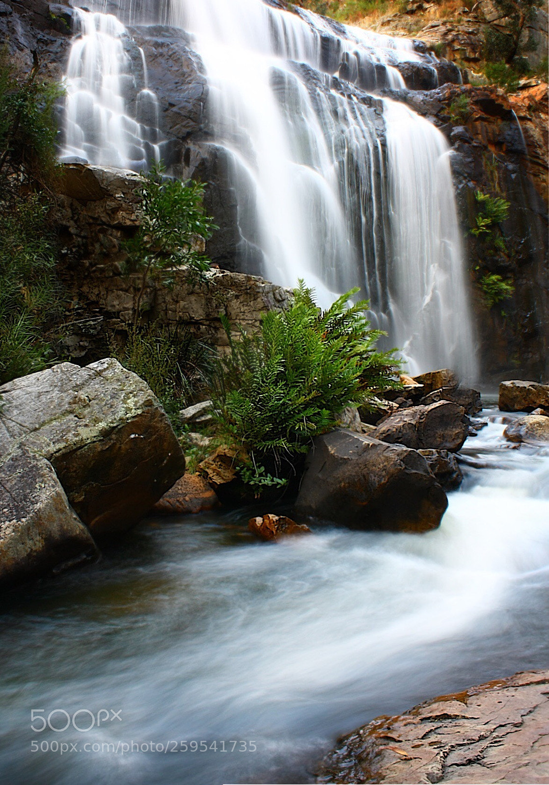 Canon EOS 450D (EOS Rebel XSi / EOS Kiss X2) sample photo. Mckenzie falls photography