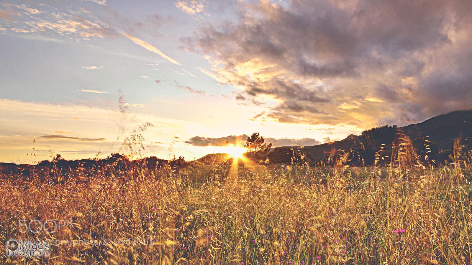Nikon D7100 sample photo. Sunset at field photography