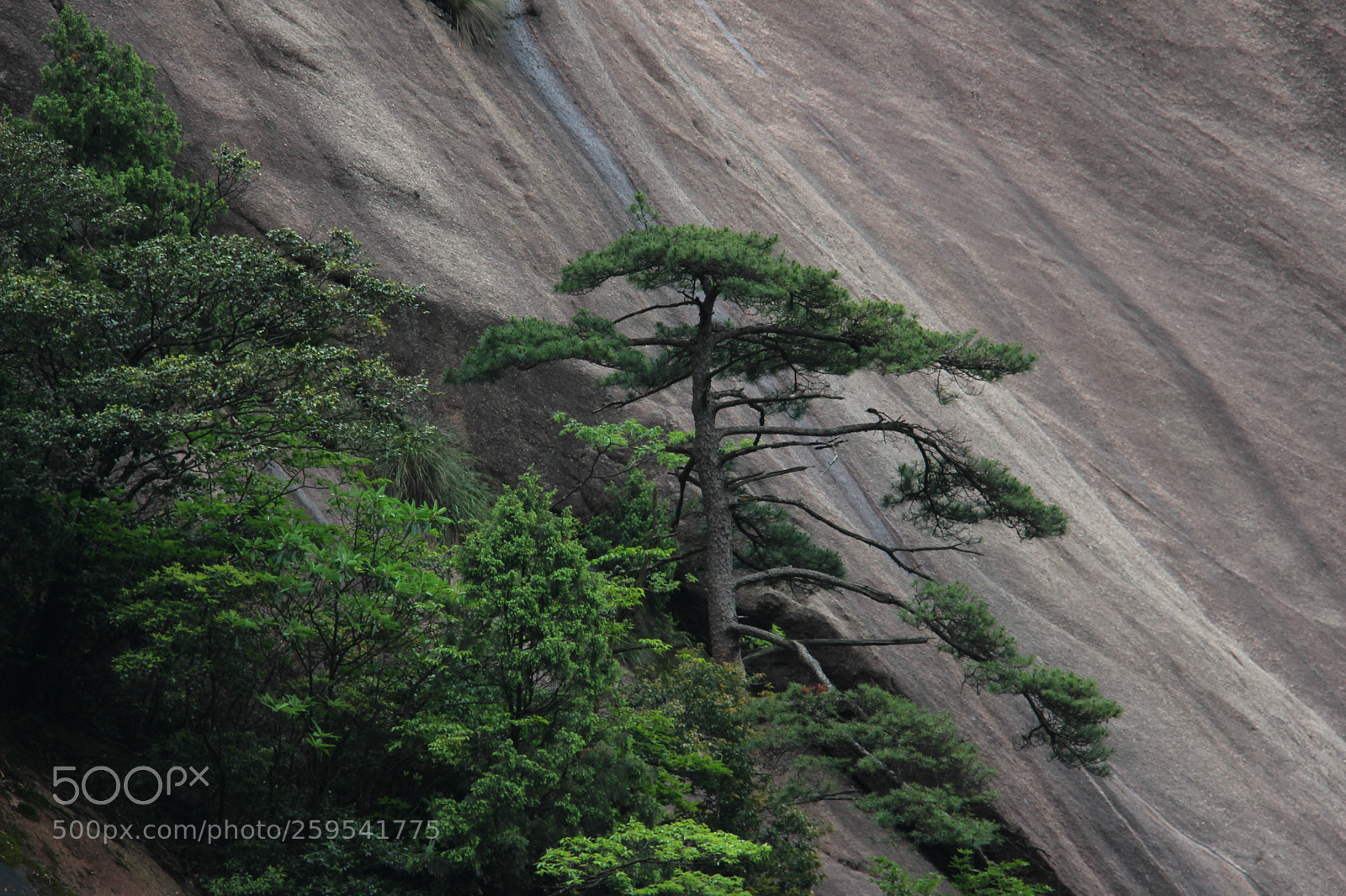 Canon EOS 700D (EOS Rebel T5i / EOS Kiss X7i) sample photo. 岩松峻挺 photography