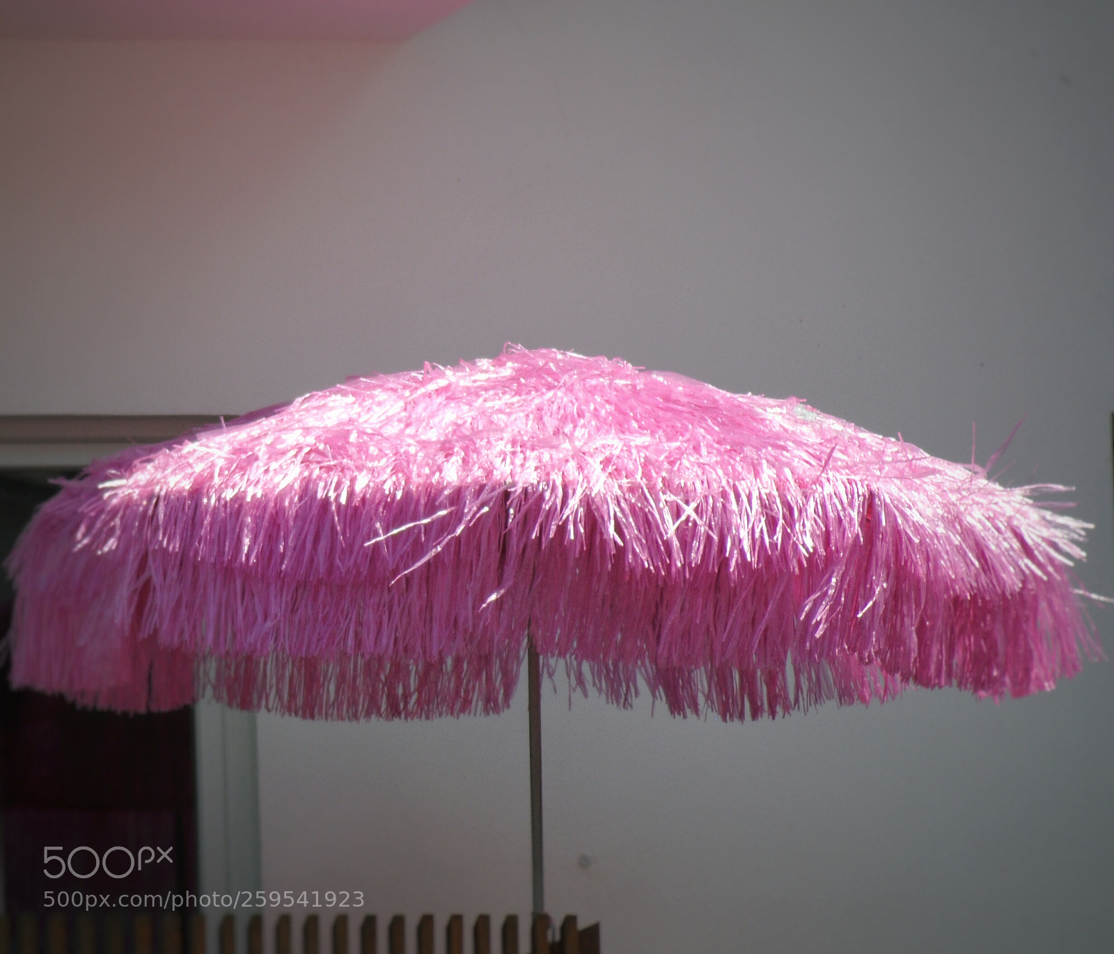 Nikon D3000 sample photo. Untitled photography