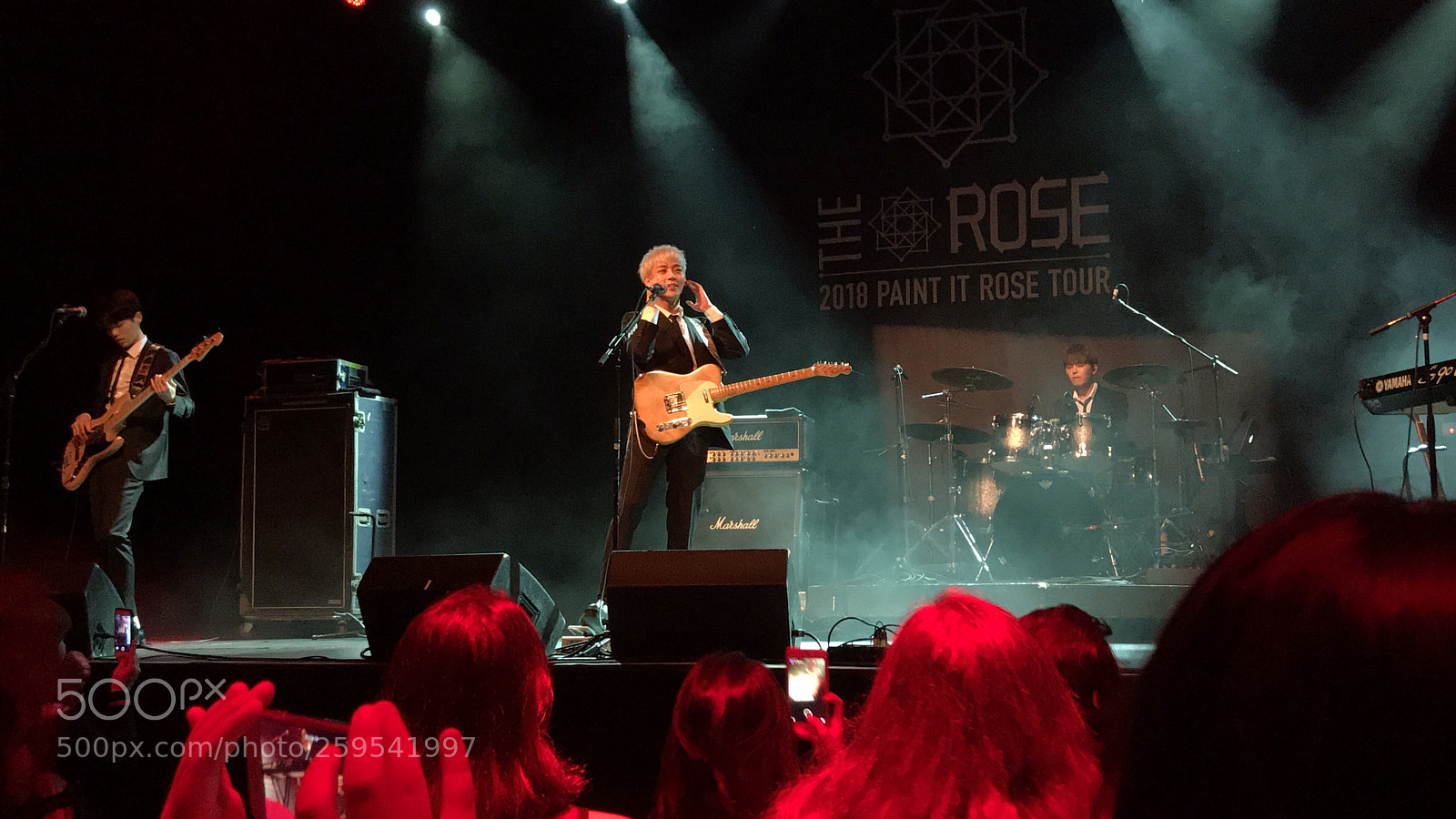 Apple iPhone 7 Plus sample photo. Paint it rose tour photography