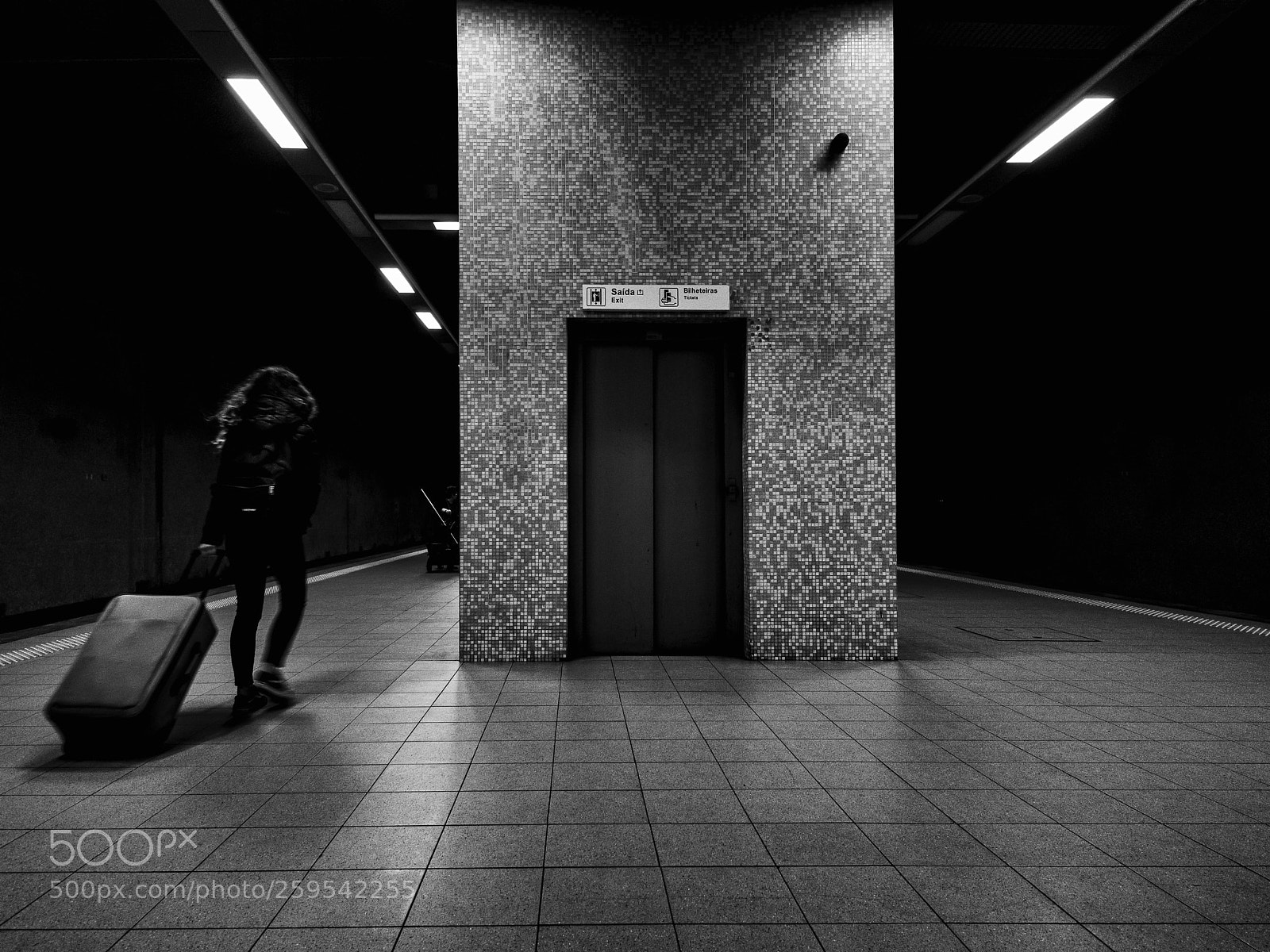 Nikon D810 sample photo. A train to catch photography